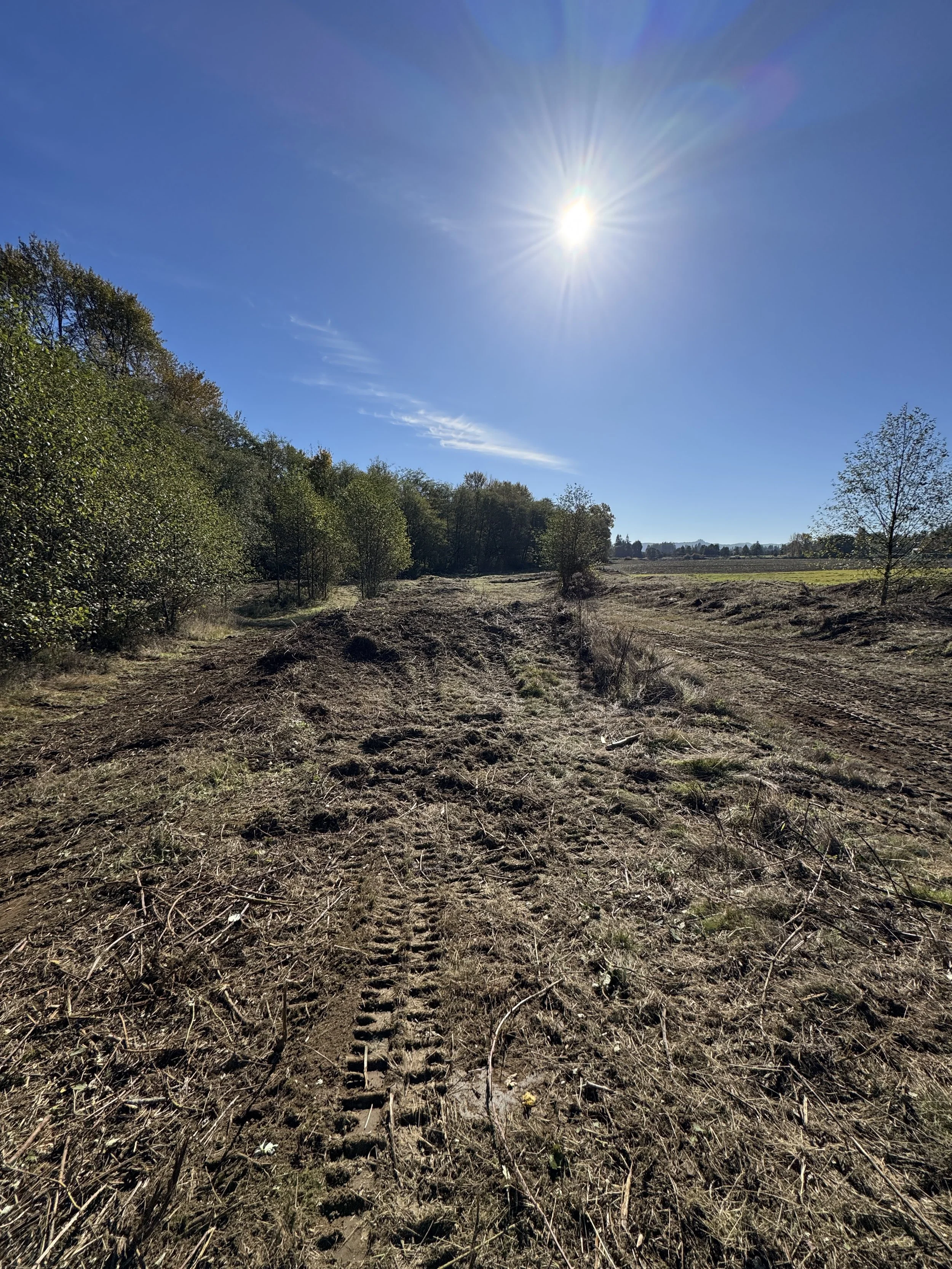 A clear sunny day over a dirt path running through a field with some tire tracks, Brush hog , bordered by trees on the left and open land on the right, under a bright sun in a blue sky with a few wispy clouds.
