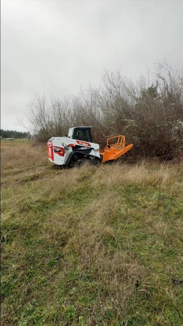 A Bobcat t62 track loader  with a Davco 72" brush hog removing a wooded area, under an overcast sky.