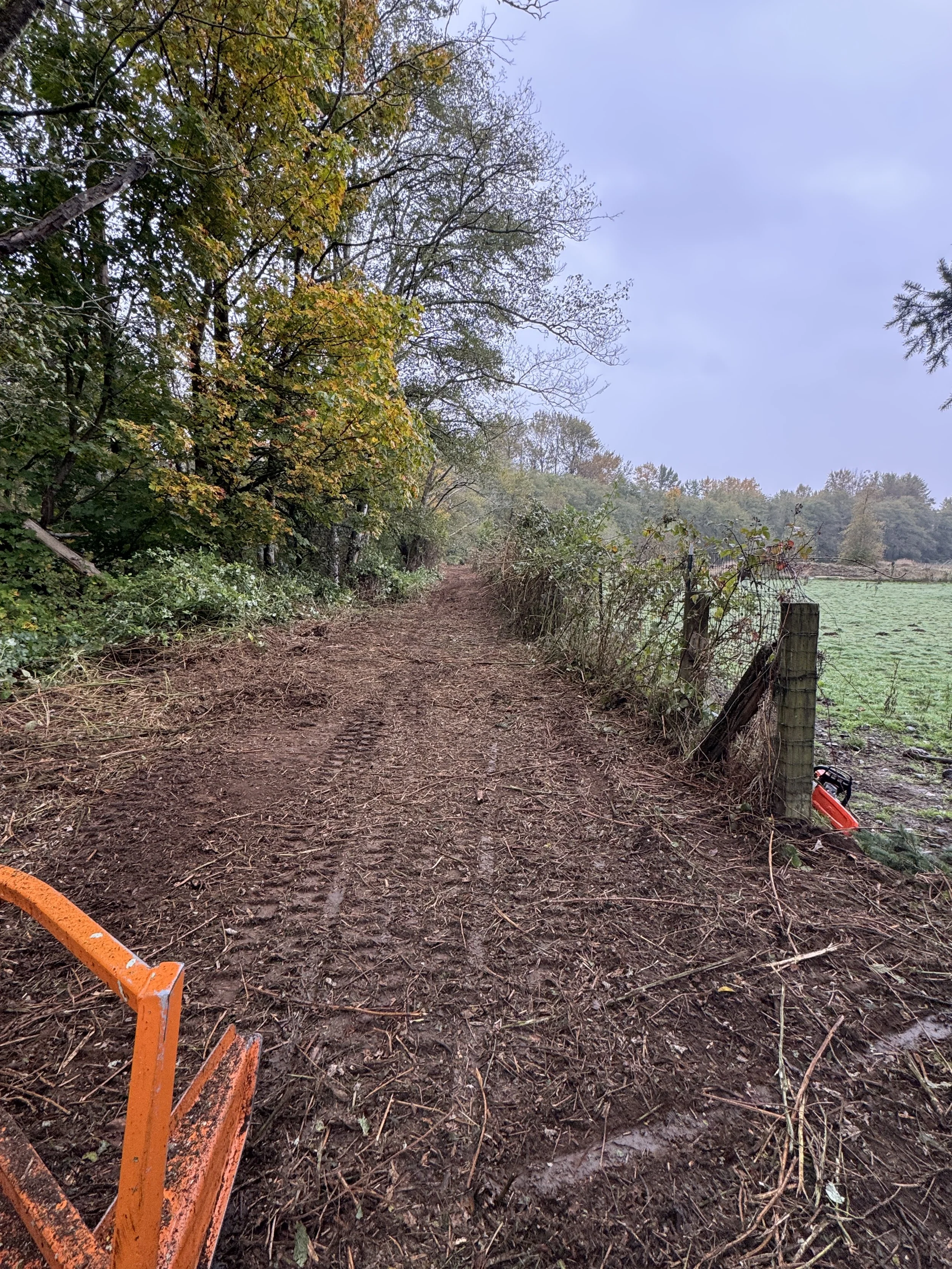 A dirt pathway surrounded by trees on the left and an open field on the right, with a cloudy sky overhead. The path has tire tracks and is muddy, with a small orange construction barrier at the bottom left corner.