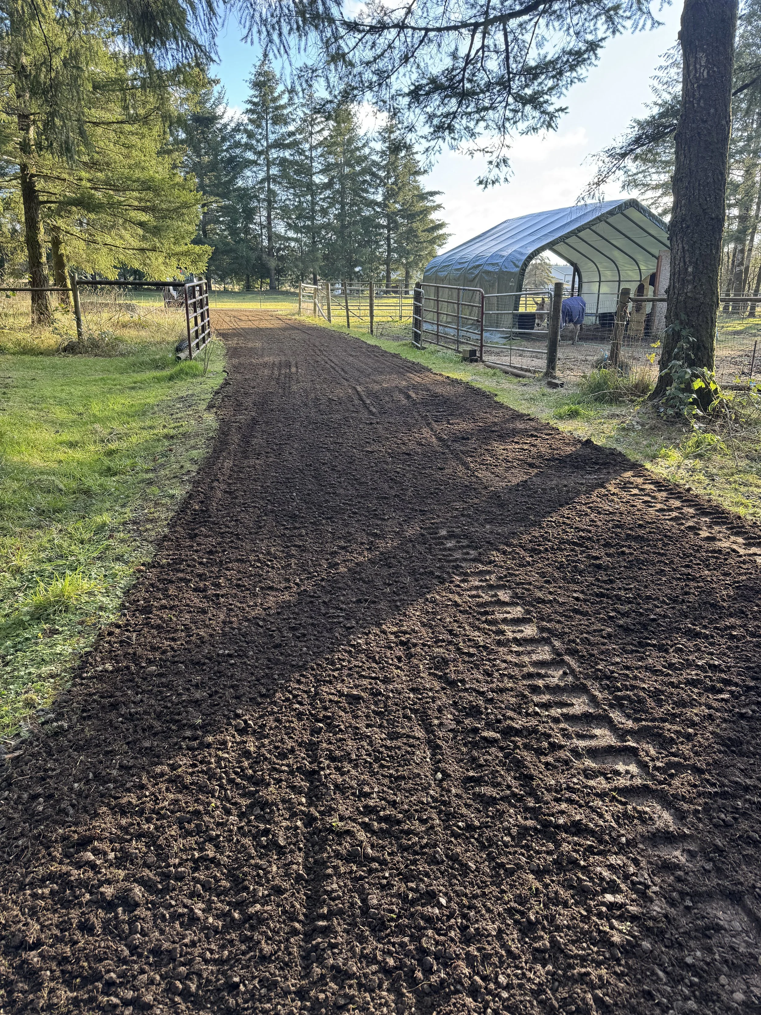 A dirt road leading to a horse stable with a curved roof shelter, surrounded by fencing and trees, on a sunny day.