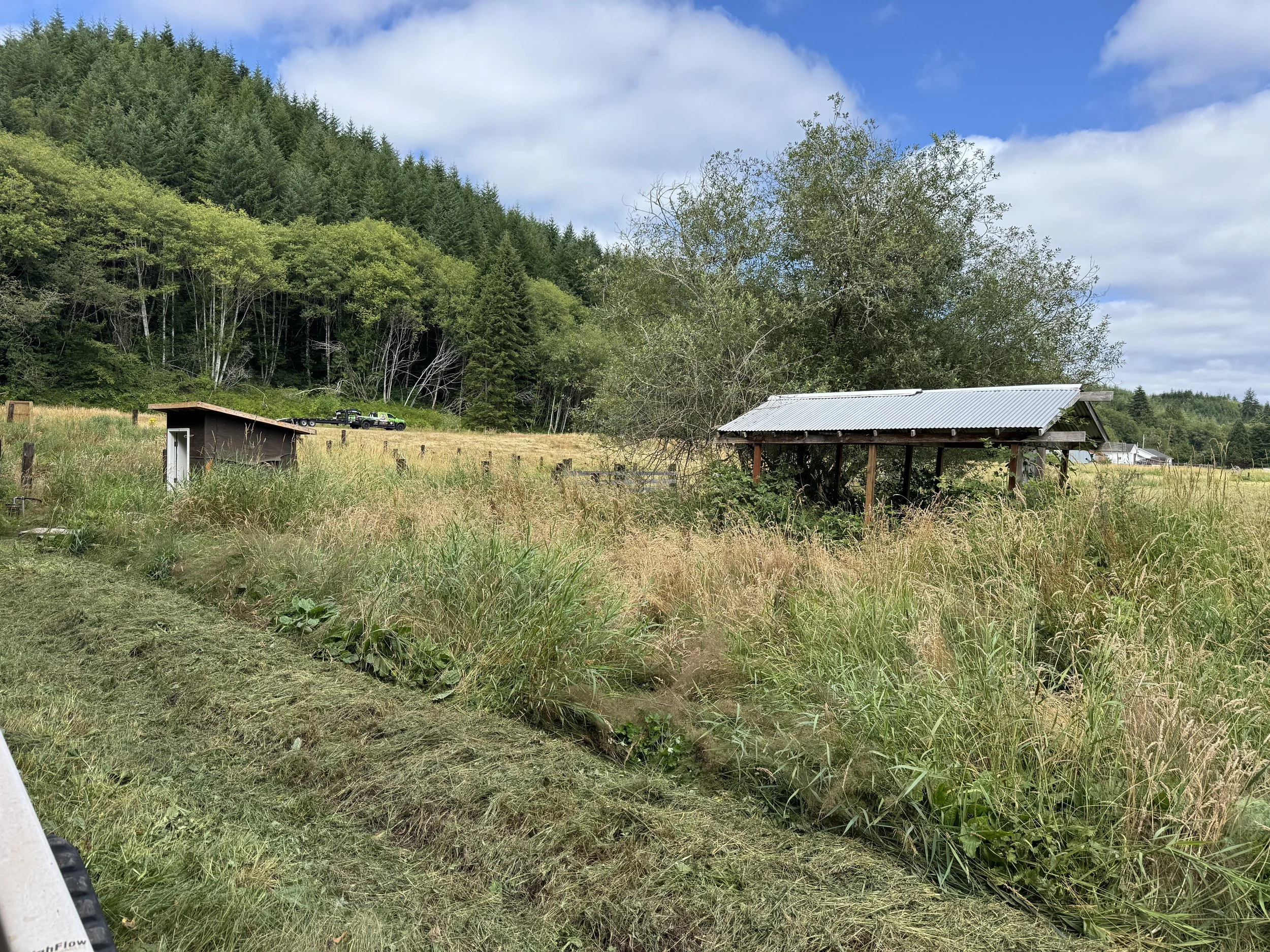 Brush hog project, A rural landscape with a grassy field, a small wooden shed with a metal roof, and a tree near the shed. In the background, there is a forested hillside under a partly cloudy sky.