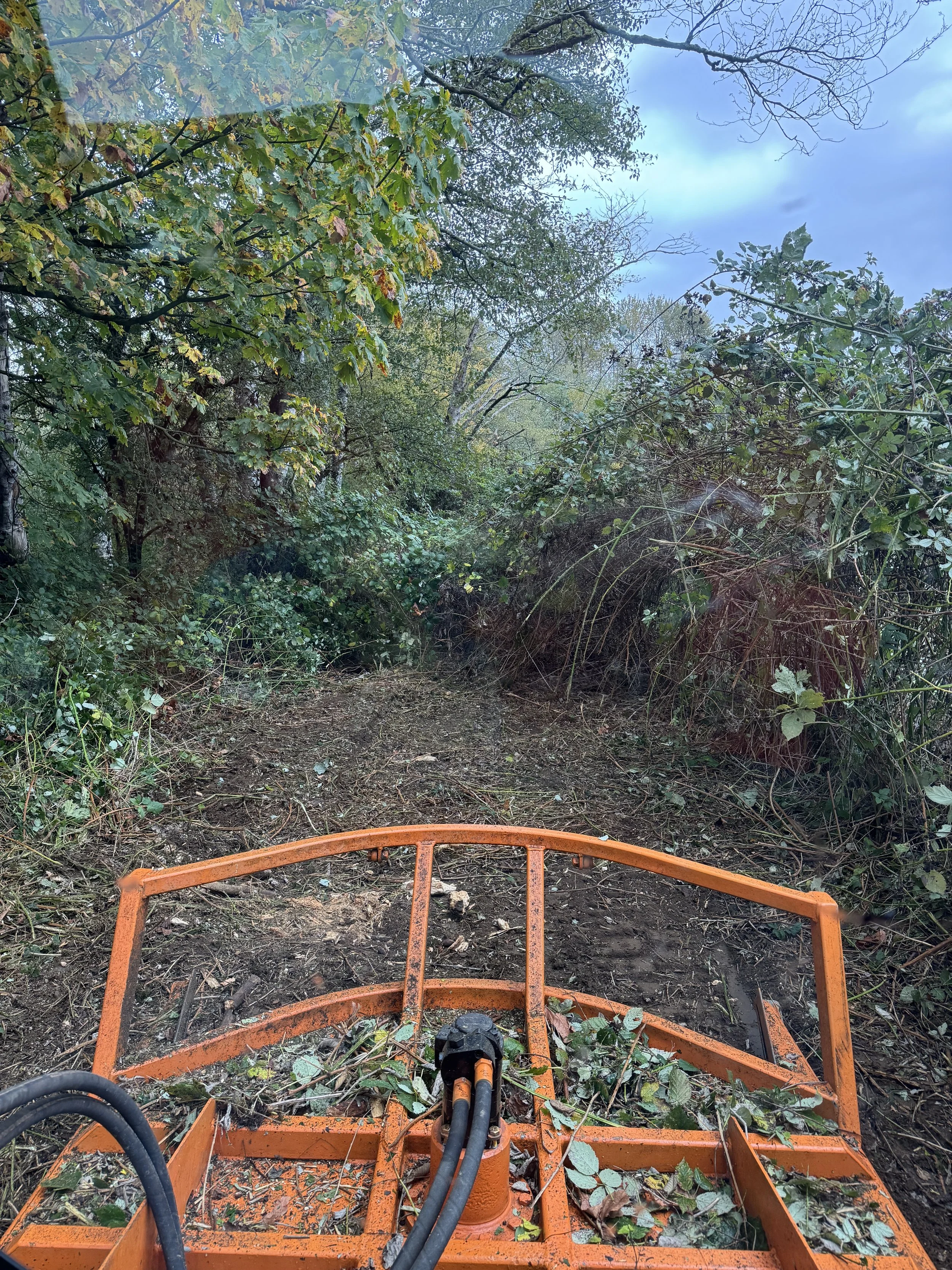 Fence line View from behind A Bobcat t62 track loader  with a Davco 72" brush hog on a dirt trail surrounded by dense green foliage and trees, with a cloudy sky above.