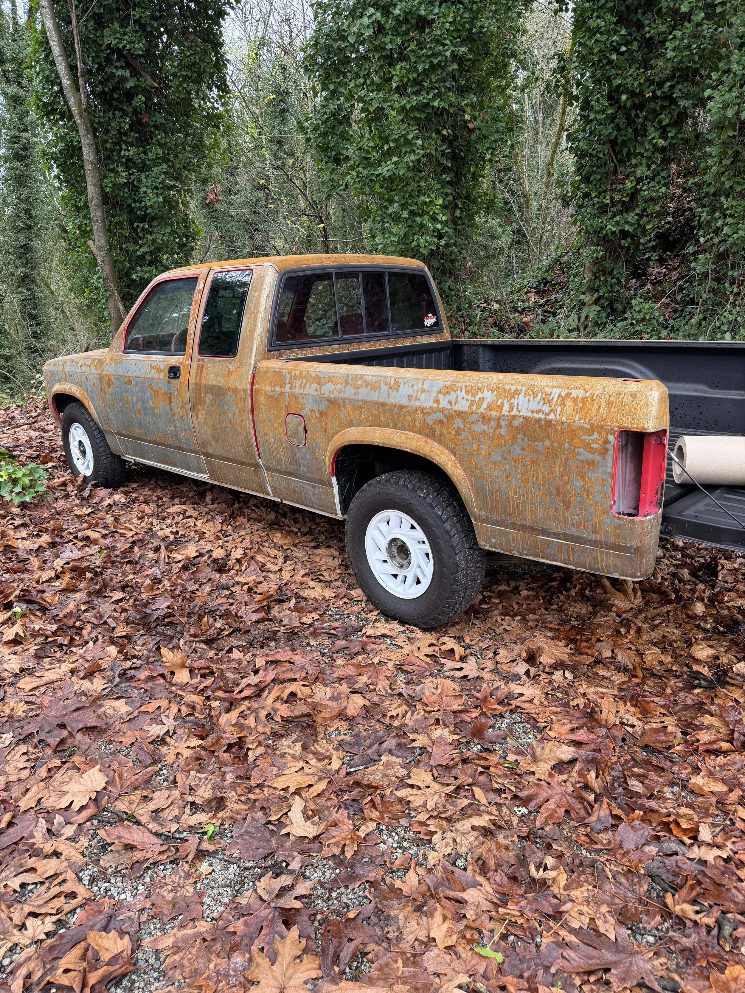 An old rusty dodge dakota pickup truck waiting to be sand blasted parked on a leaf-covered ground in a wooded area.