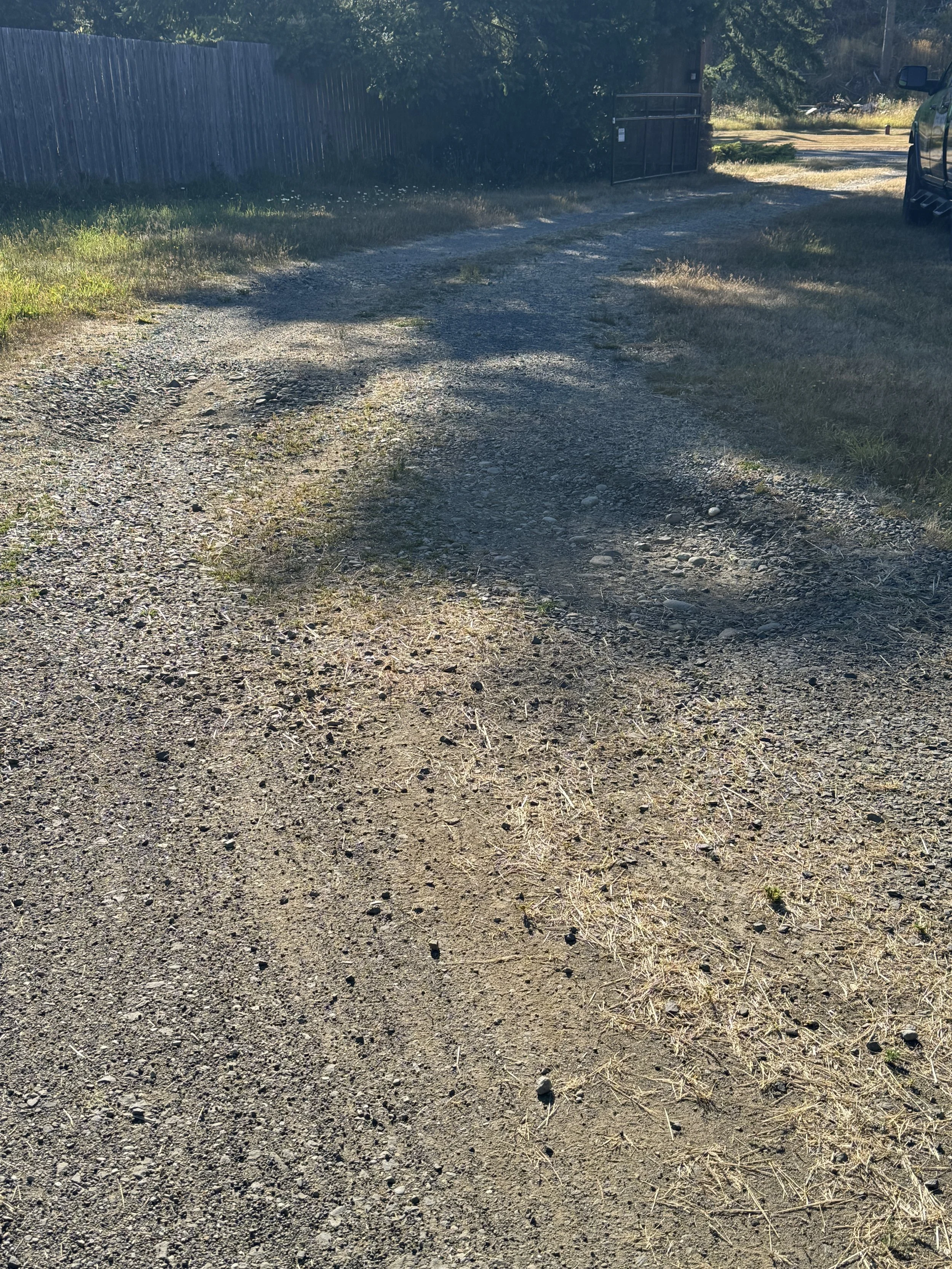 A gravel driveway with patches of dirt and grass, leading to a gate and surrounded by grass and trees.