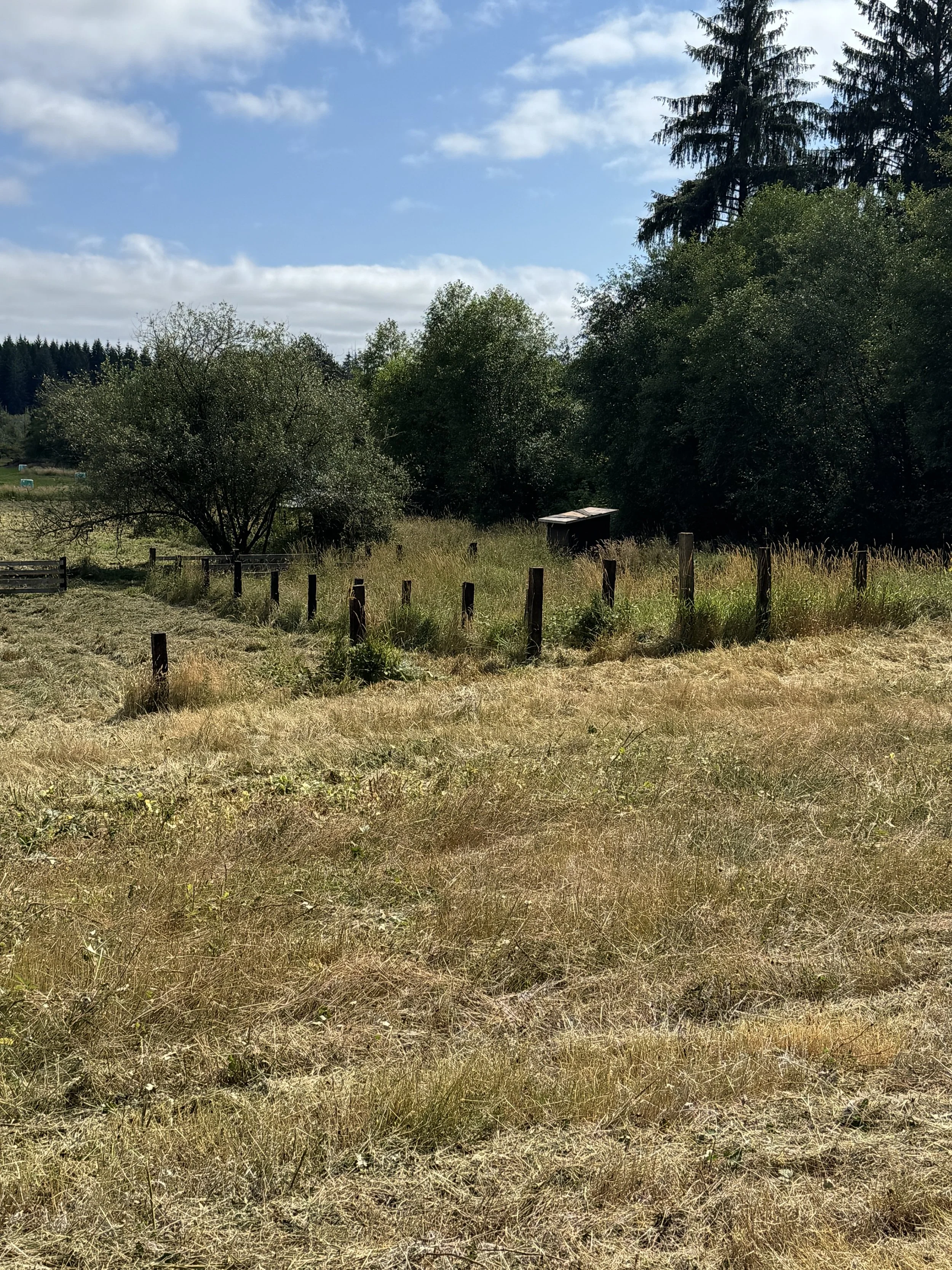A Bobcat t62 track loader  with a Davco 72" brush hog, A grassy field with patches of dry grass, a small fenced area, trees, and a blue sky with clouds.