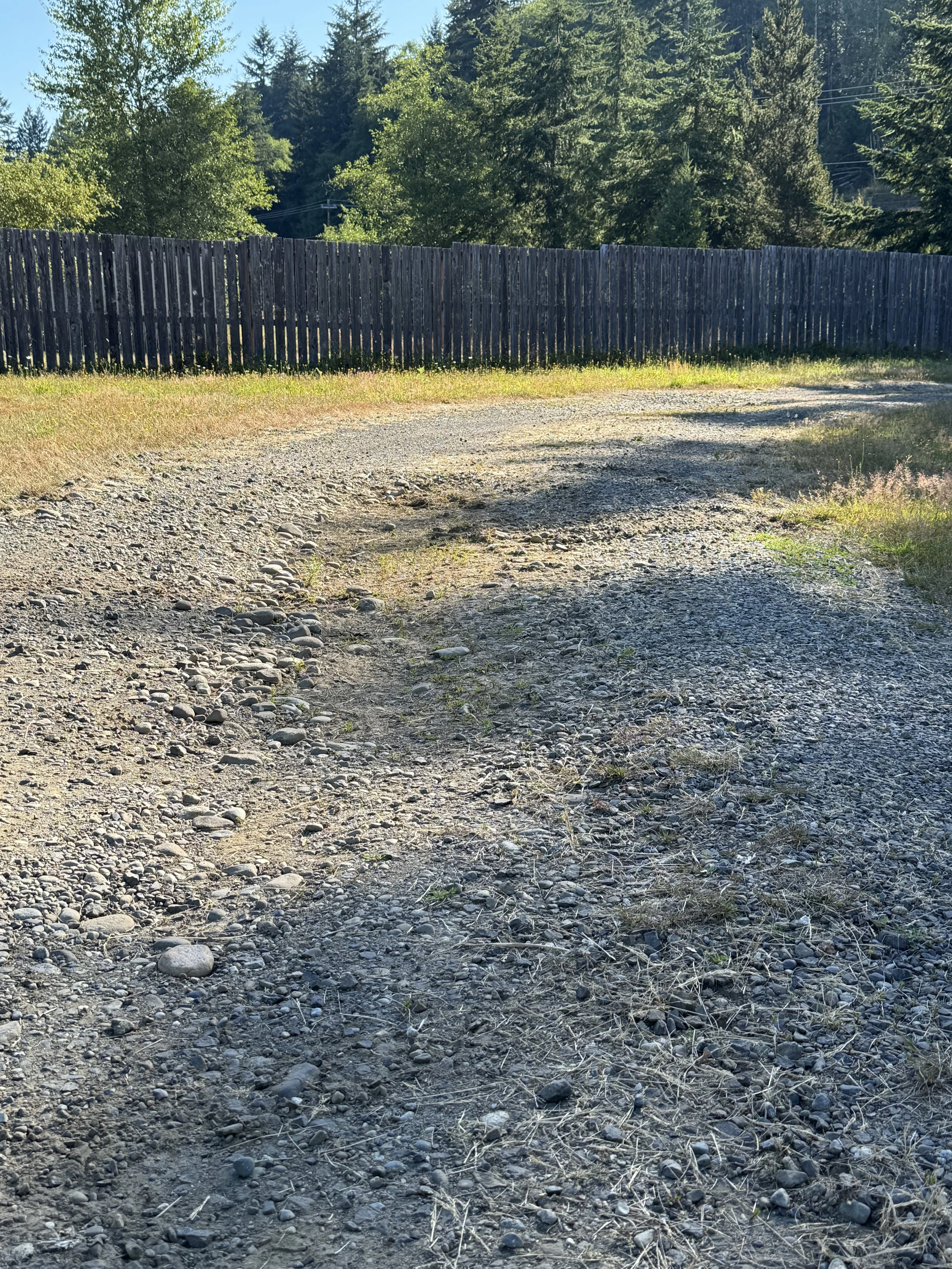 A gravel driveway with small rocks and patches of grass, bordered by a wooden fence, leading to a wooded area with tall green trees. Sunlight is shining, casting shadows.