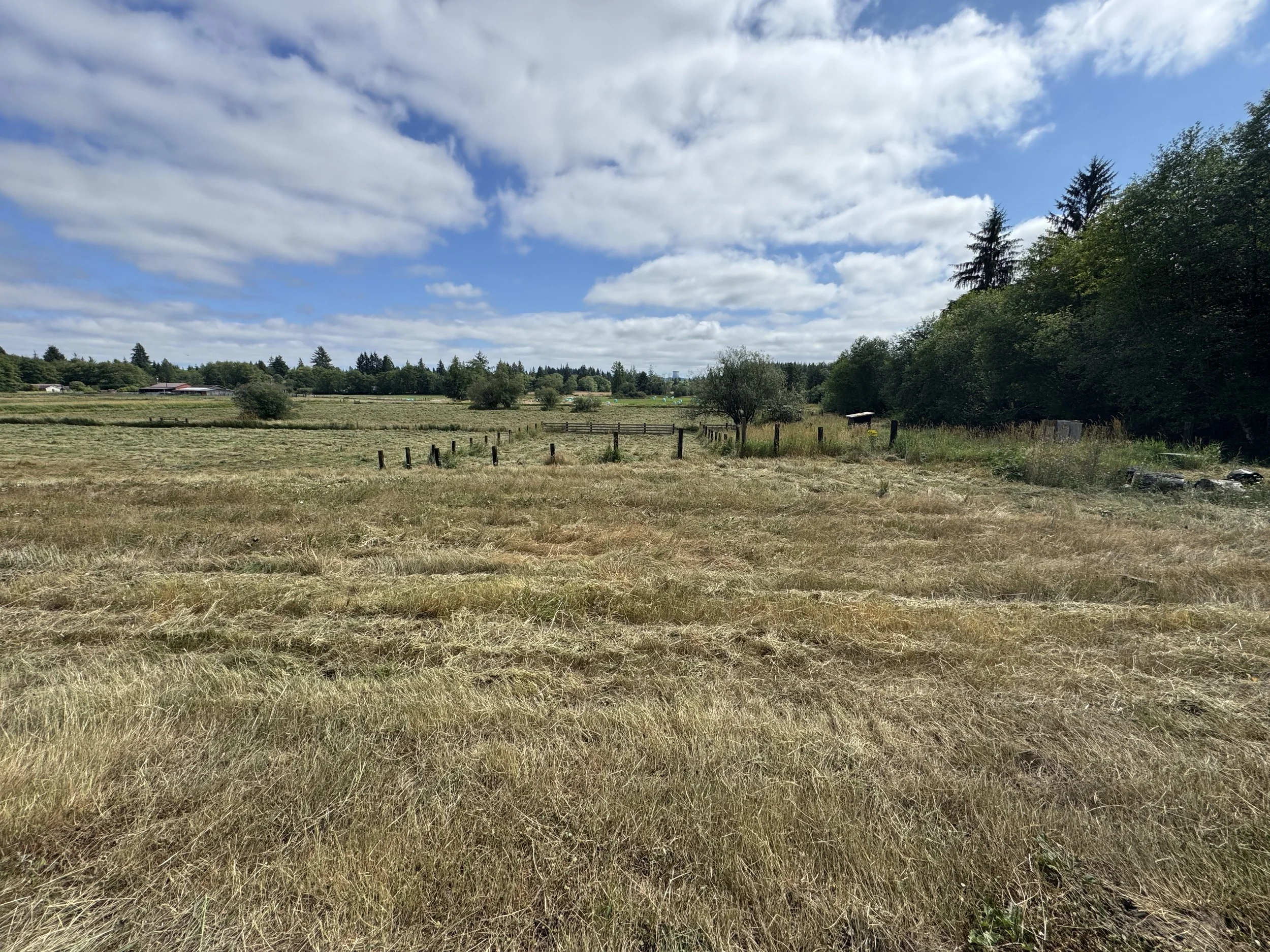 A Bobcat t62 track loader  with a Davco 72" brush hog, Open grassy field with patches of dry grass, a fenced area, trees, and a partly cloudy sky.
