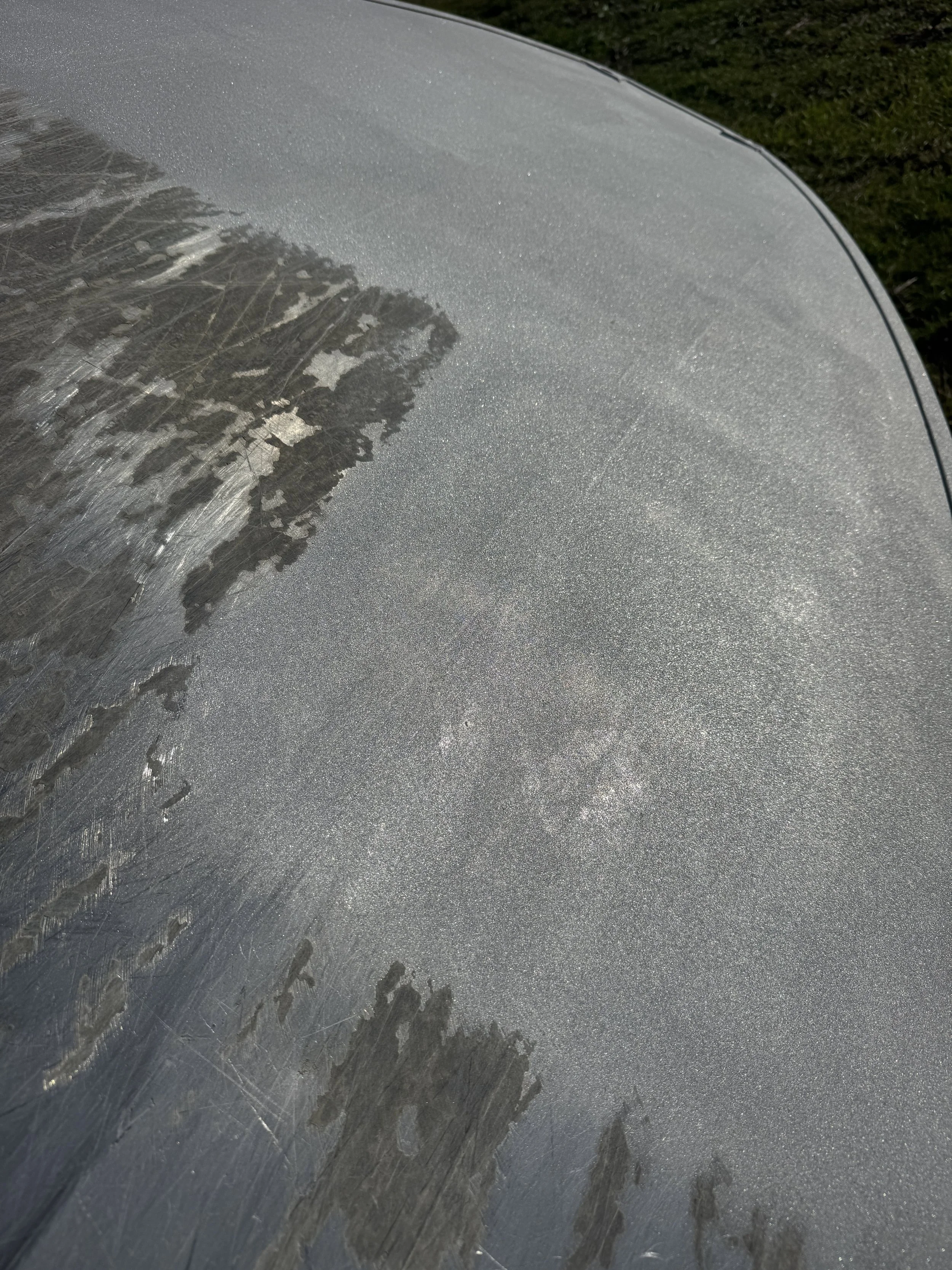 Close-up of a sand blasted boat , dirt, and scratches, showing a reflection of trees and the sky.