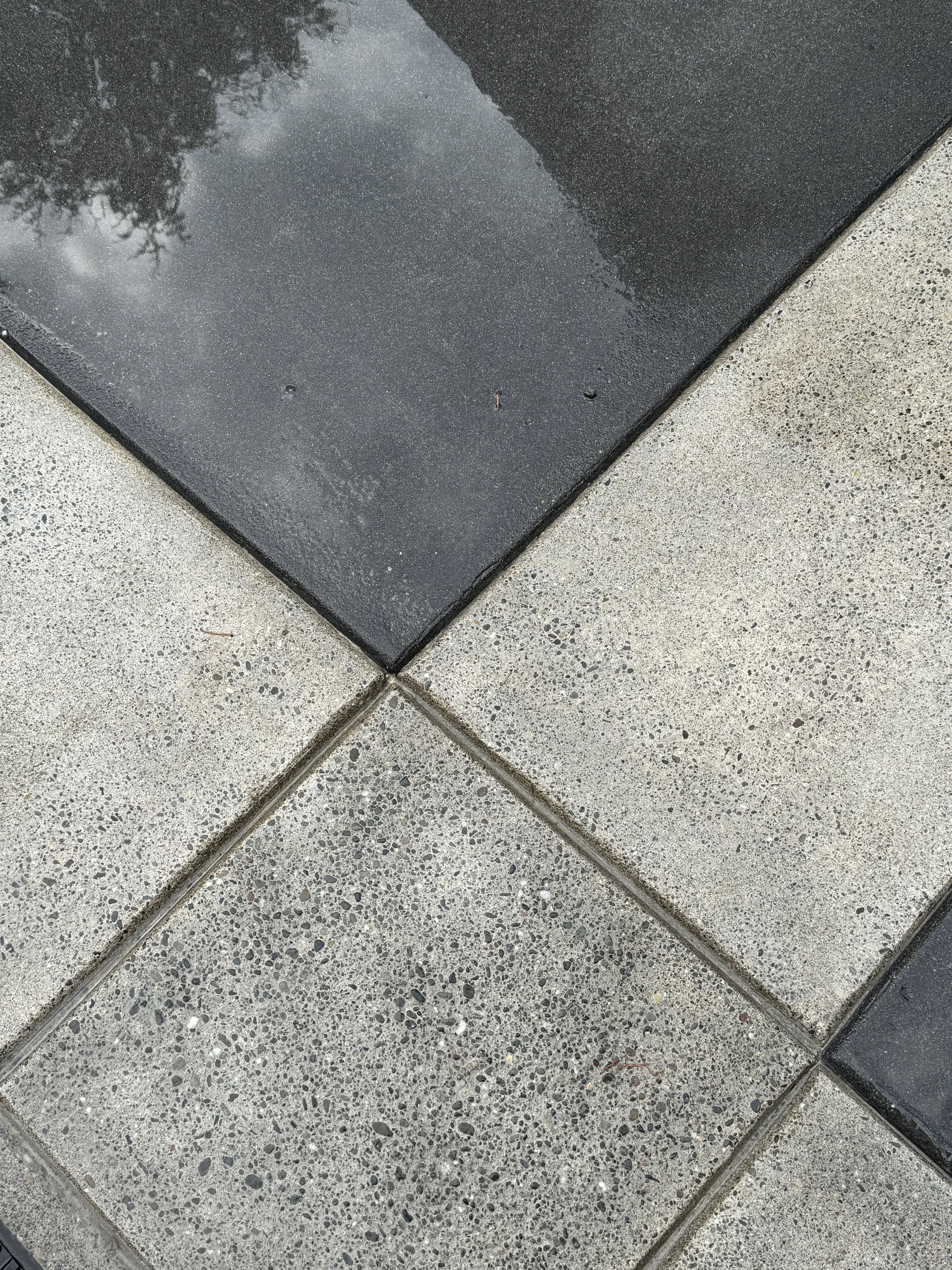 Close-up of a sand blasted concrete driveway, removed sealant, some of which are wet and reflecting the sky and trees.