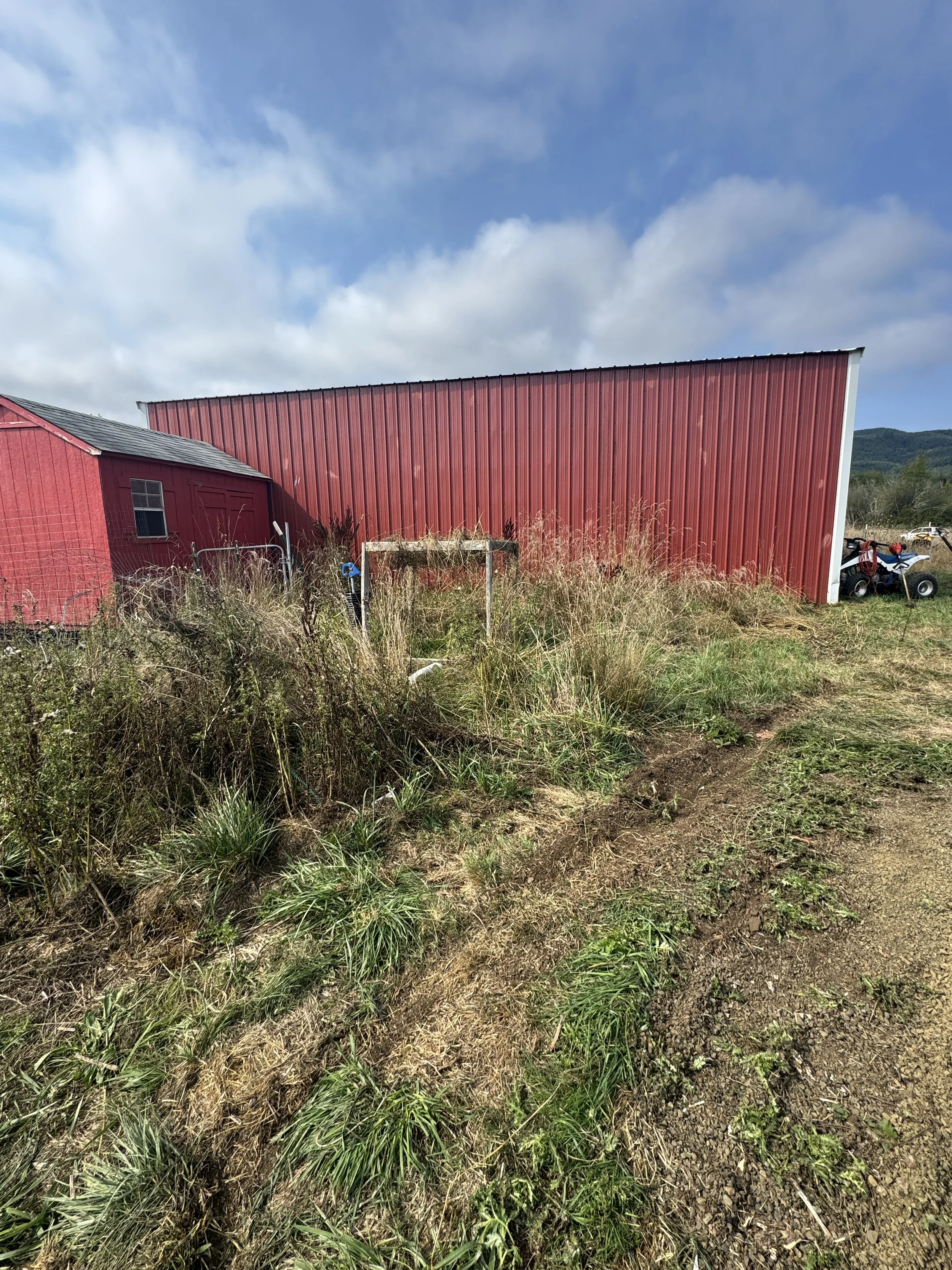 A red barn with a tilted roof on a farm, overgrown grass and weeds in front, waiting to be brush hogged, partly cloudy sky, and mountains in the background.