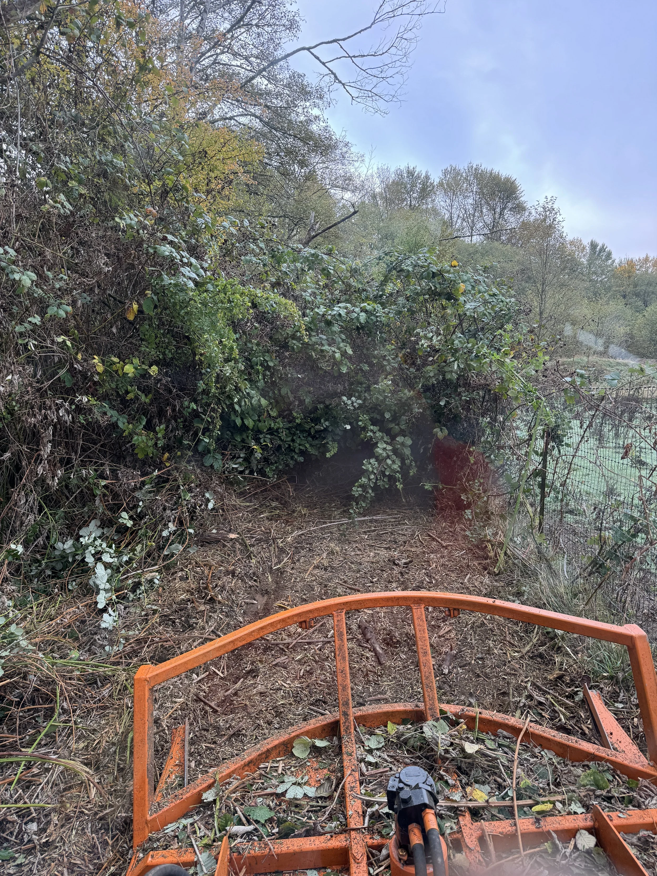 Fence line Photo taken from the front of a Bobcat t62 track loader  with a Davco 72" brush hog machine, showing a muddy trail and overgrown foliage on a cloudy day.