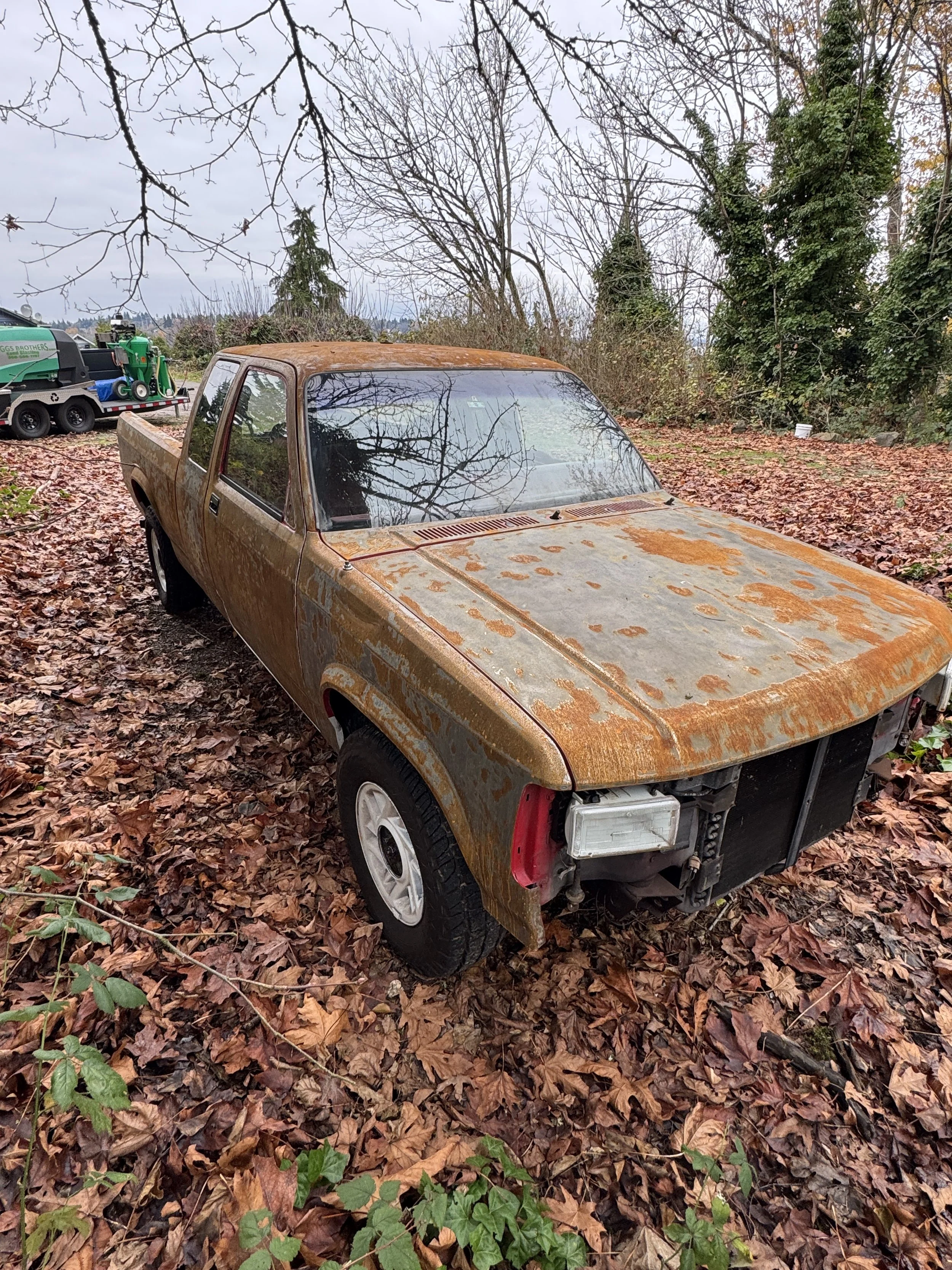 An old, dodge dakota rusty pickup truck parked outdoors waiting to be sand blasted on a bed of fallen autumn leaves, with trees and cloudy sky in the background.