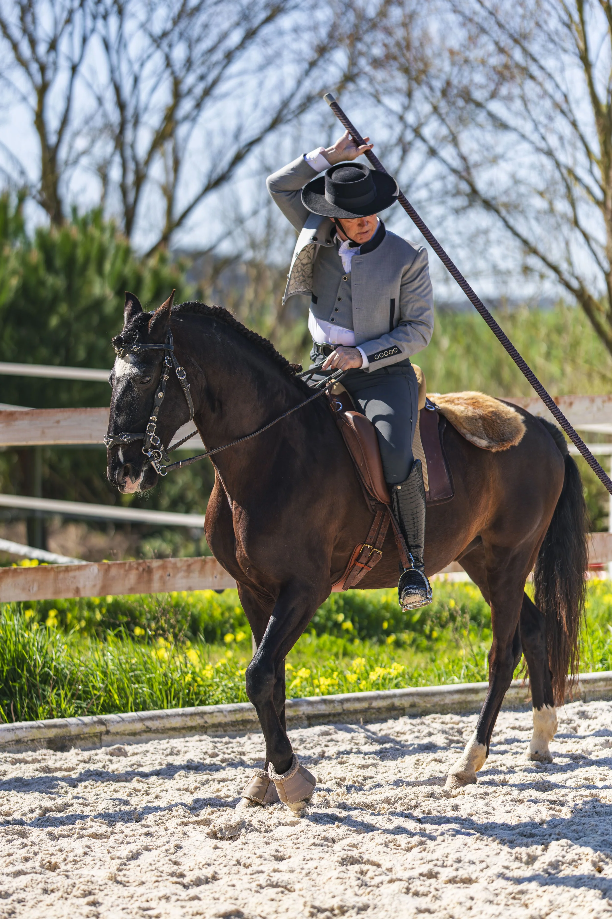 A man riding a lusitano horse on a farm in Portugal while holding a pole in an outdoor riding arena on a sunny day. This photo was made by Maria Steppe from Wonderveld Pictures.