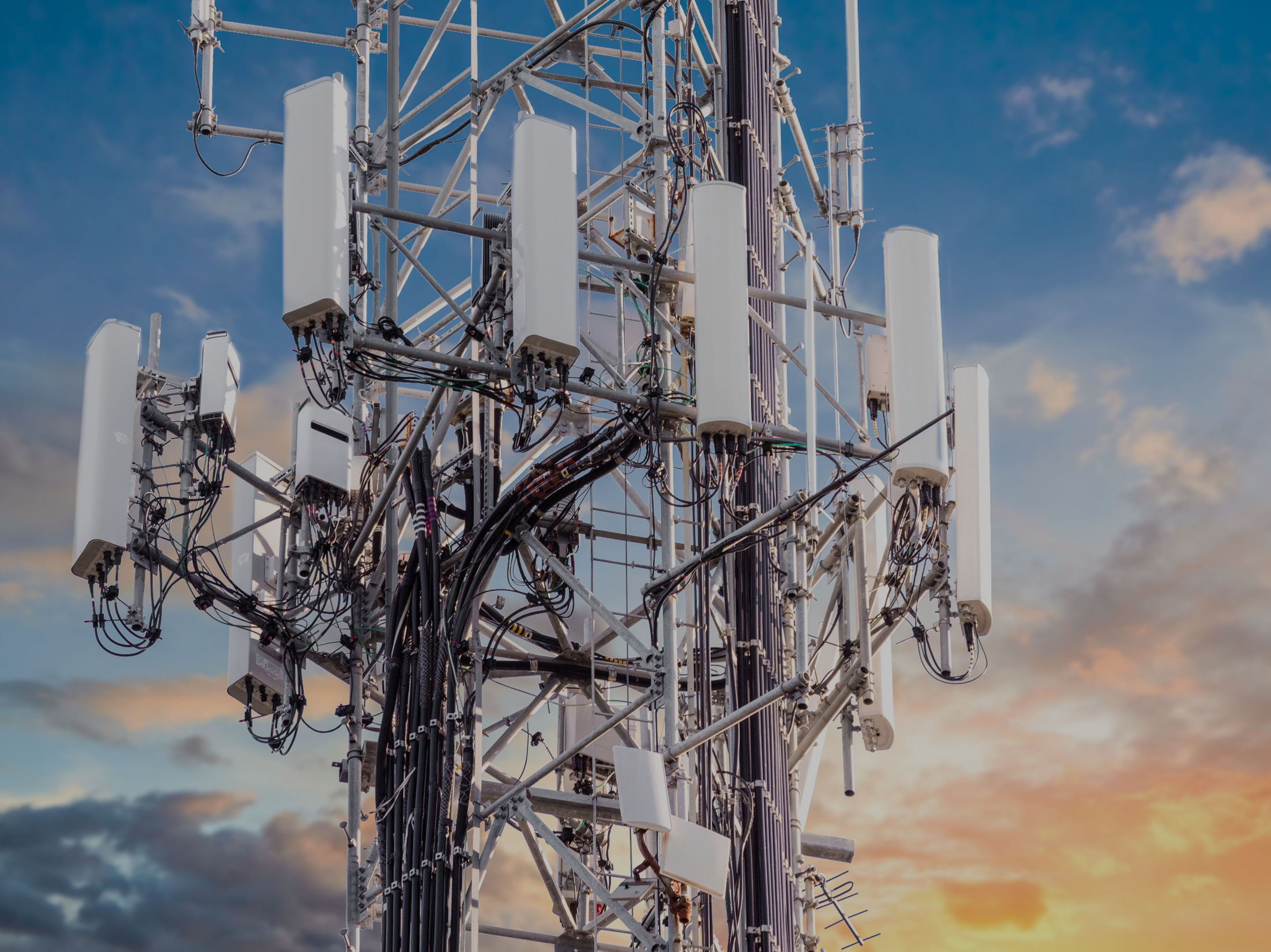Digital Infrastructure Services