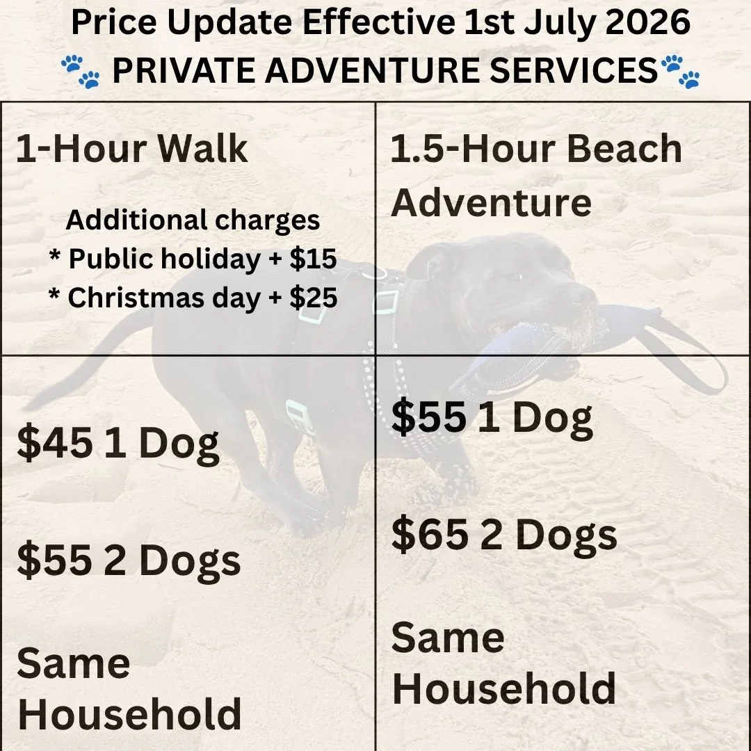 Price list for walks & beach adventures