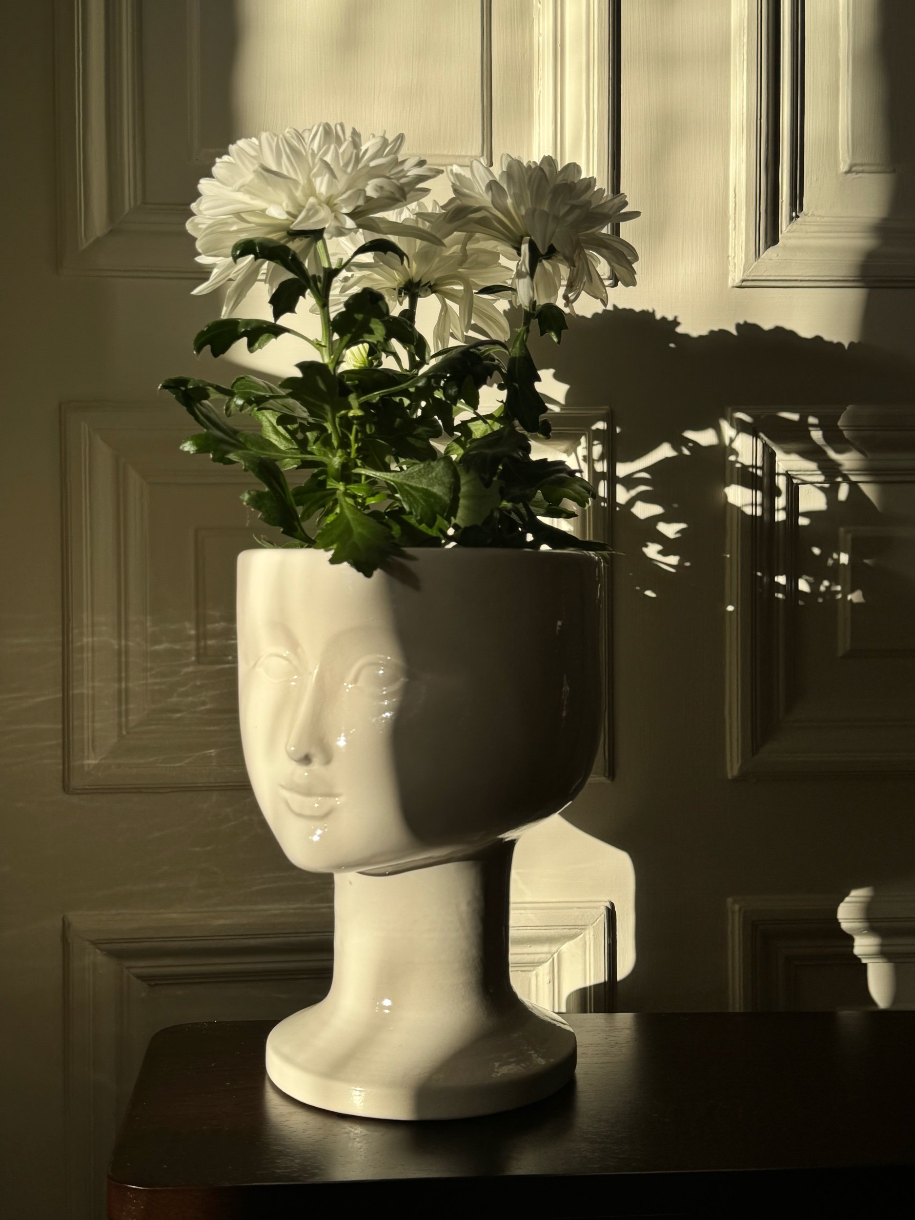 17AD6A7D-4D71-482E-9A9D-76B6B139E948.jpeg