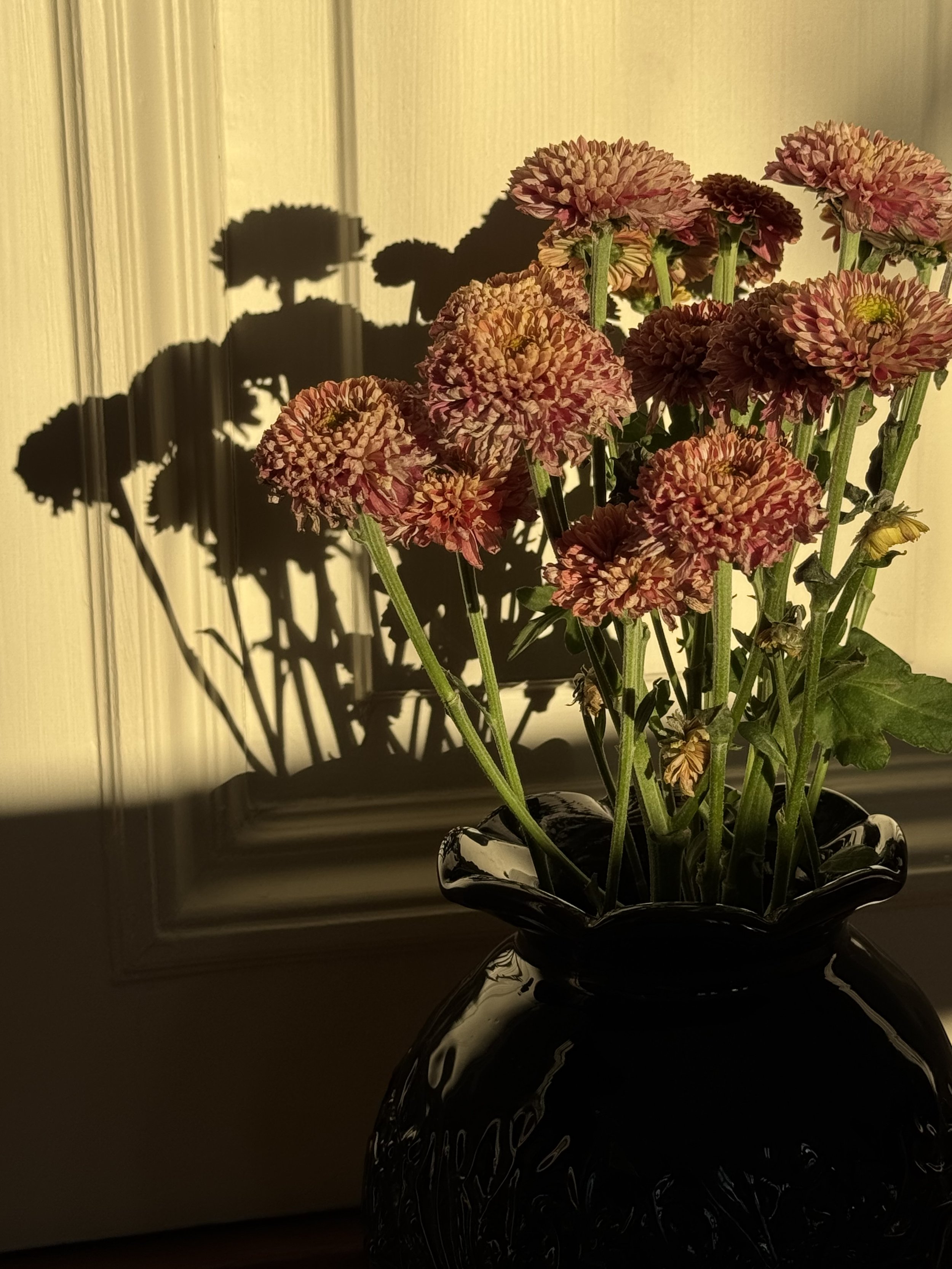 IMG_0967.jpeg