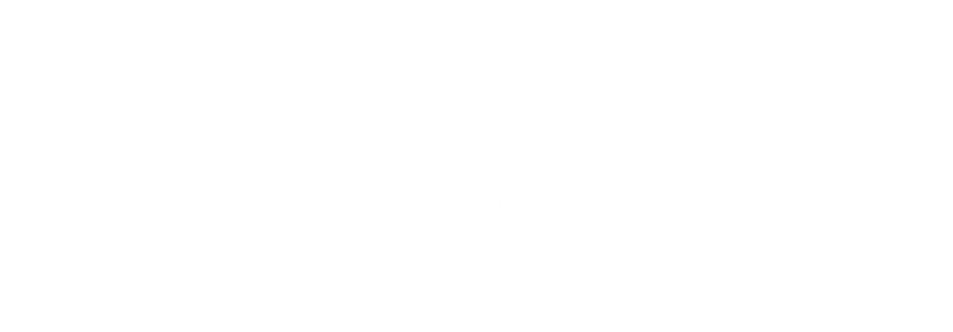 logo arenaone.png