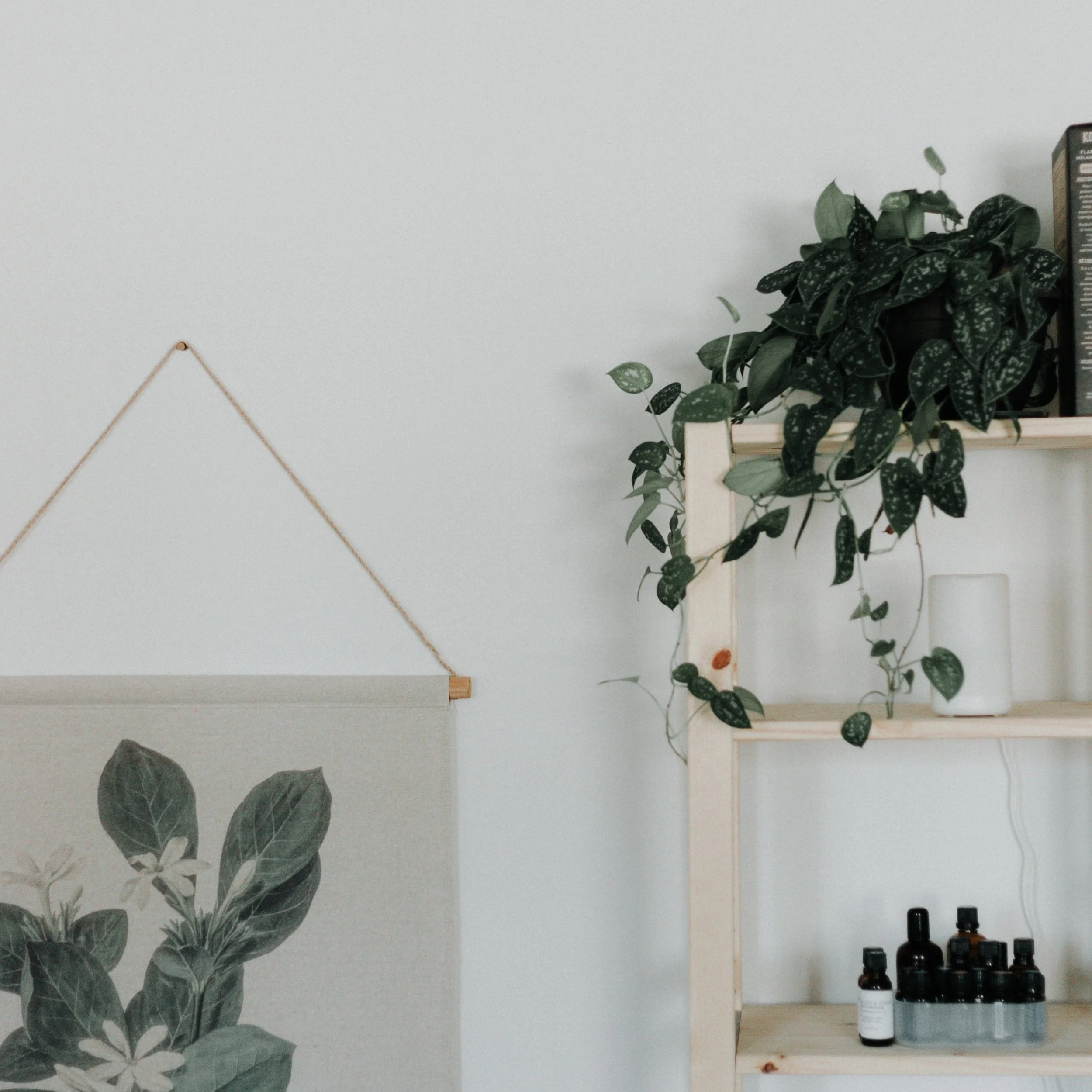 décoration murale avec tapisserie et une étagère avec plantes et des flacons