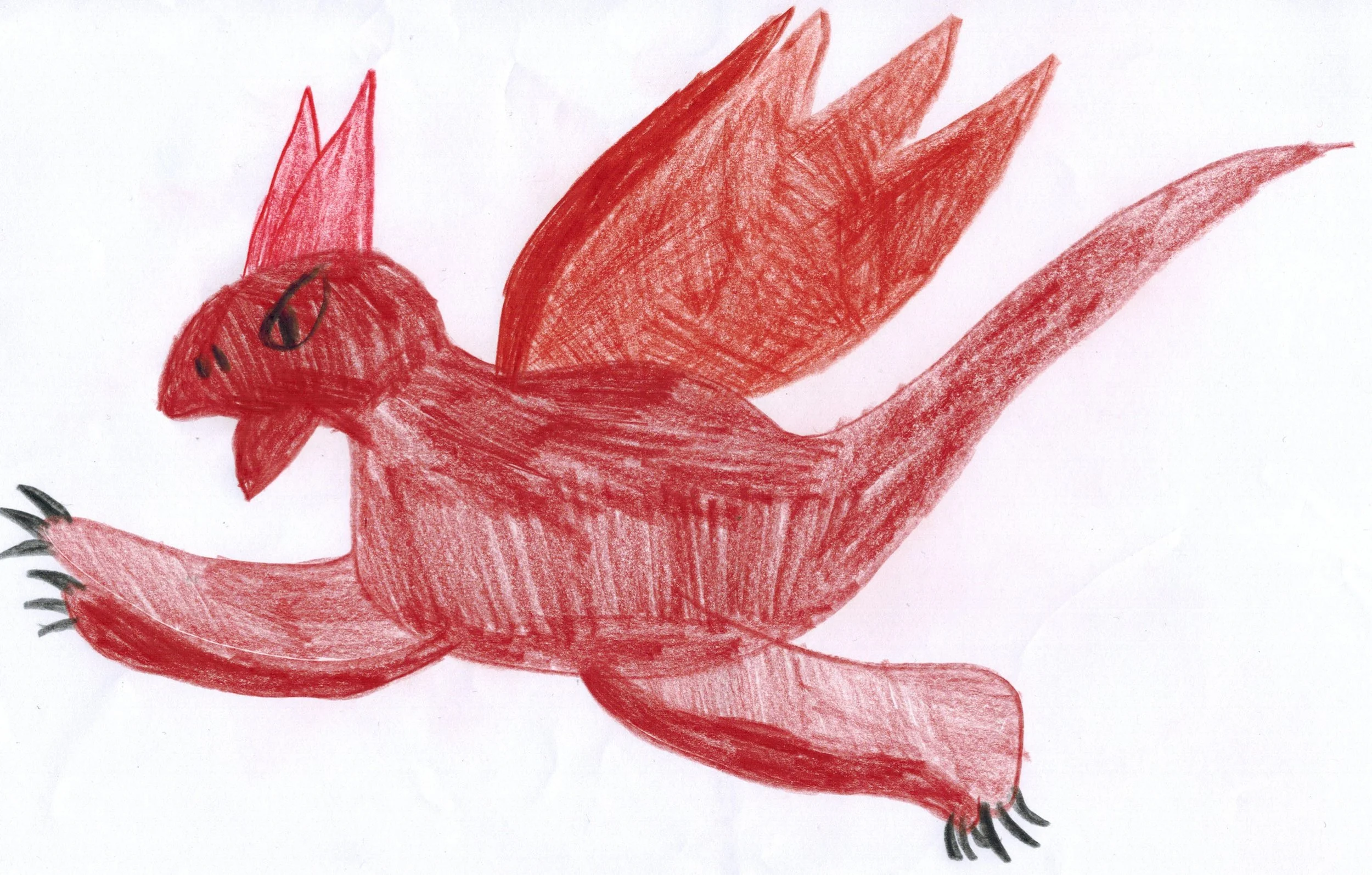 "Feuerdrache" - 7 J., 11 M.