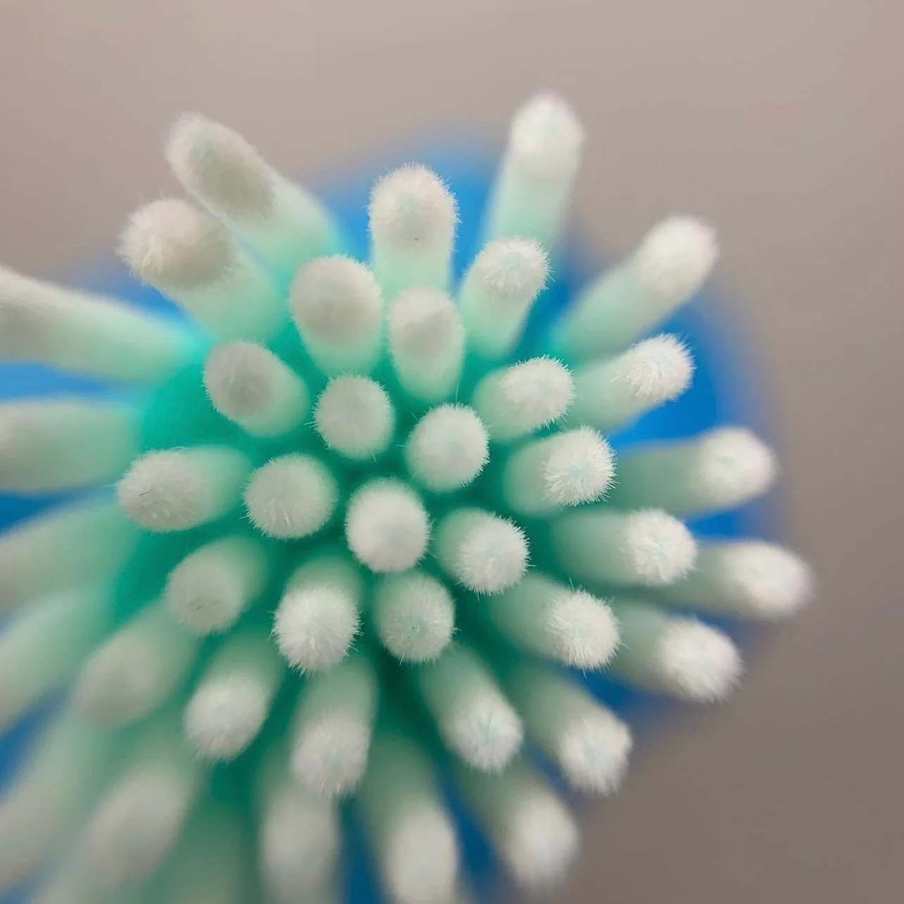 Hai mai sentito parlare dei 𝐌𝐢𝐜𝐫𝐨𝐛𝐫𝐮𝐬𝐡?

I Microbrush sono alcuni degli strumenti necessari per svolgere al meglio il trattamento di Laminazione e Botox.

Ideali per applicare ma anche per rimuovere i prodotti.

𝐐𝐮𝐚𝐥𝐢 𝐬𝐨𝐧𝐨 𝐥𝐞 𝐥?
