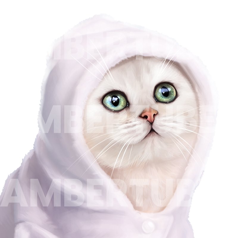 Fluffy_Kitty 3.jpg