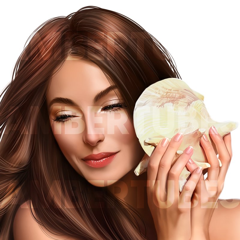 Seashell 3.jpg