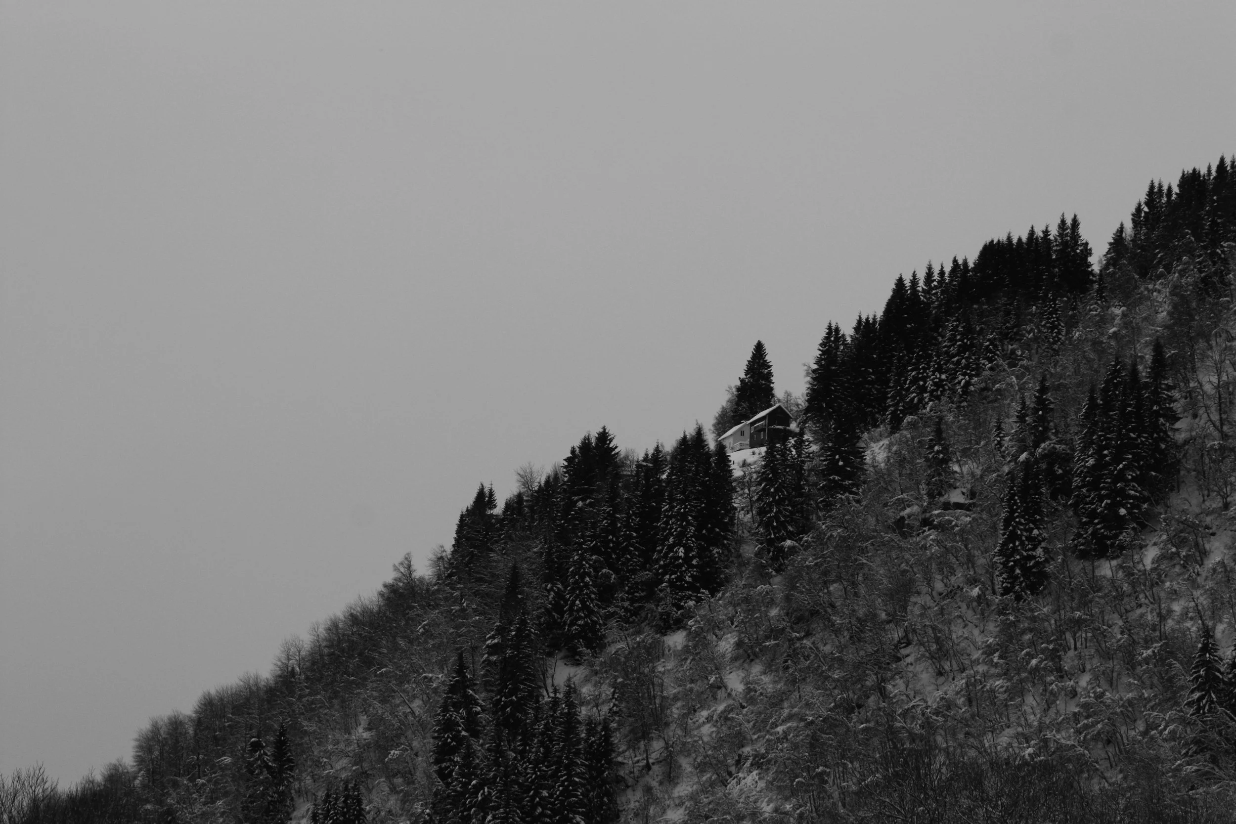 IMG_9834.jpg
