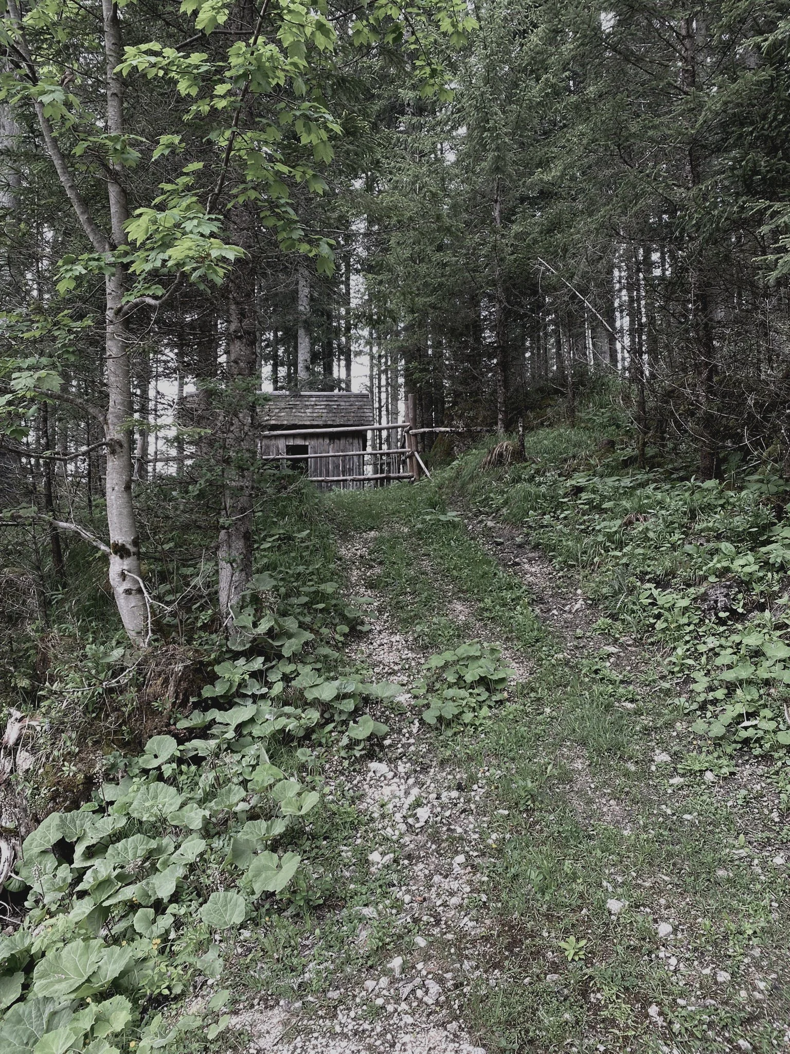 IMG-20220522-WA0158.jpg