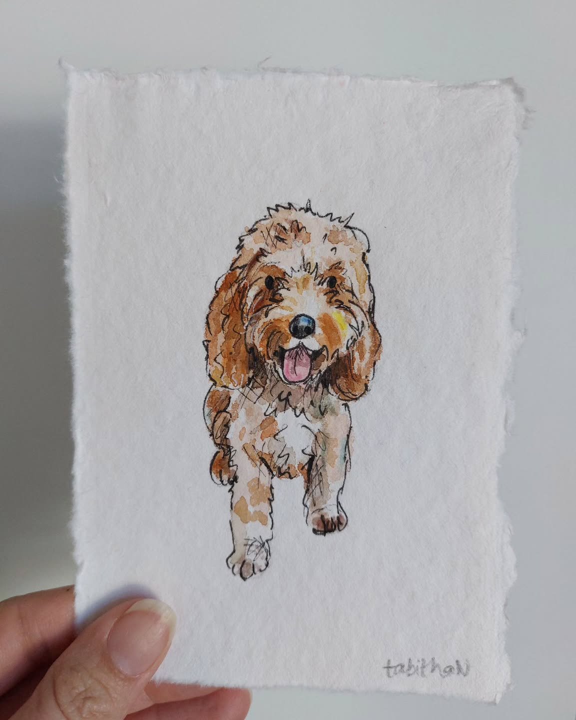 Another day, another mini portrait 🧡
.
.
.
.
#petportrait #dogsofinstagram #doglover #dogdaily #cockapoolove