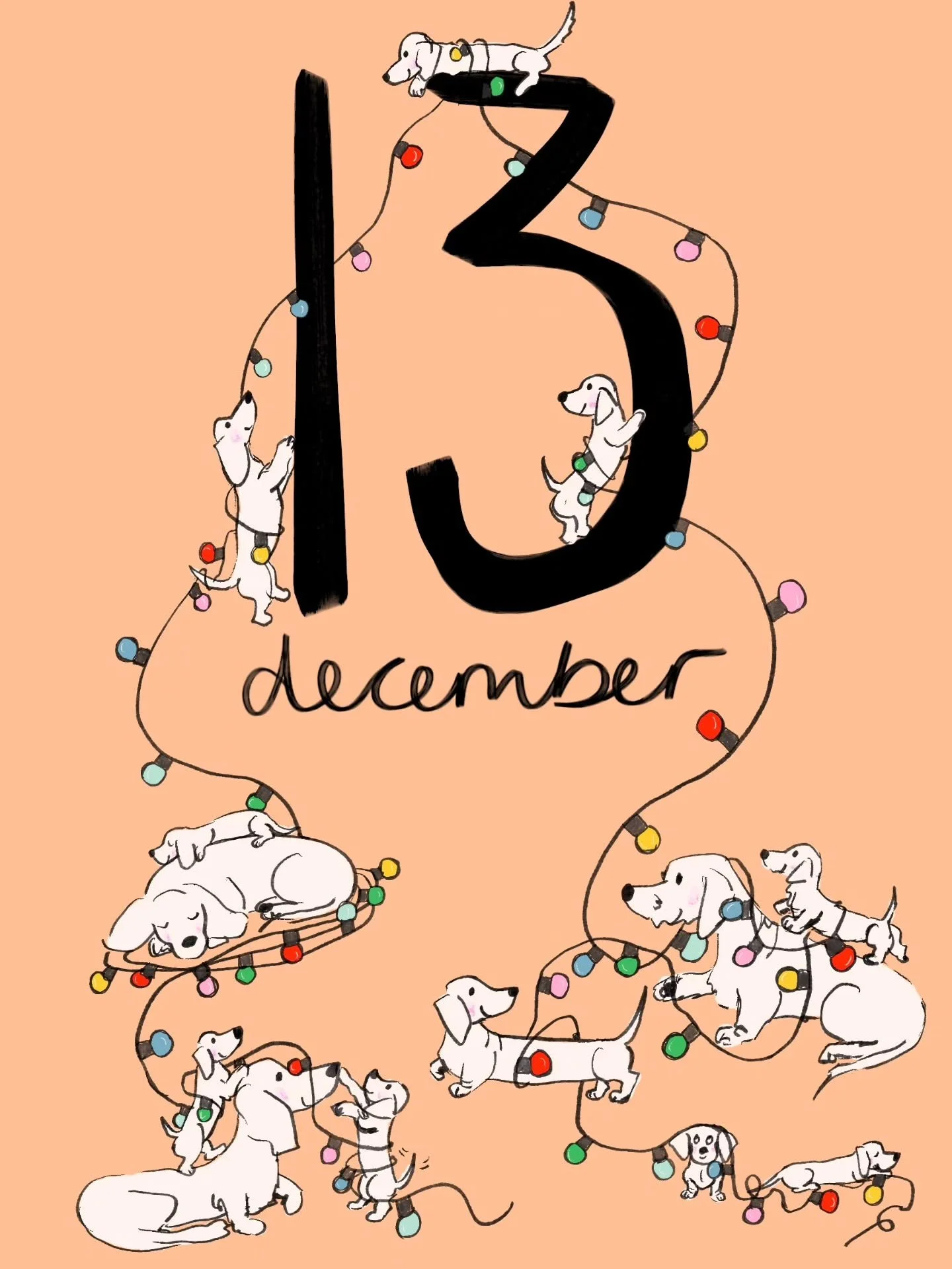 13th 💡
.
.
.
.
.
.
.
.
.
.
.
.
.
#adventcalendar #advent #countdowntochristmas #daxielove #dachshunds #dachshundsofinstagram #doxiegram #doglover #dogmom #sausagedog #weeniedog #teckels #festiveseason #christmastime #puppylife #instacute