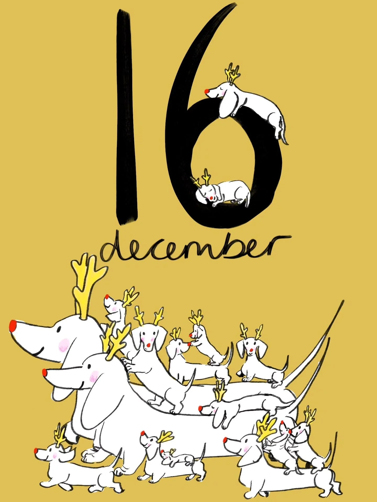 16 little rudogs for the 16th ❤️✨️
.
.
.
.
.
.
.
.
.
.
.
#adventcalendar #advent #ilovechristmas #rudolph #rudog #countdowntochristmas #sausagedog #dachshundoftheday #dachshundlove #doxieworld #daxiesofinstagram #daxielove #weenie #festiveseason #chr