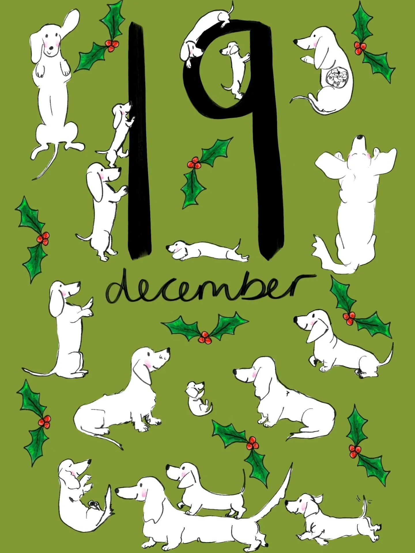 19th 💚 #adventcalendar #dachshundlove