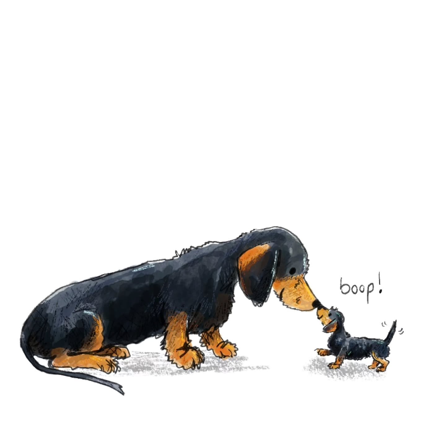 A wiry boop 🤍 #boop #wirehairdachshund #puppylove #instacute