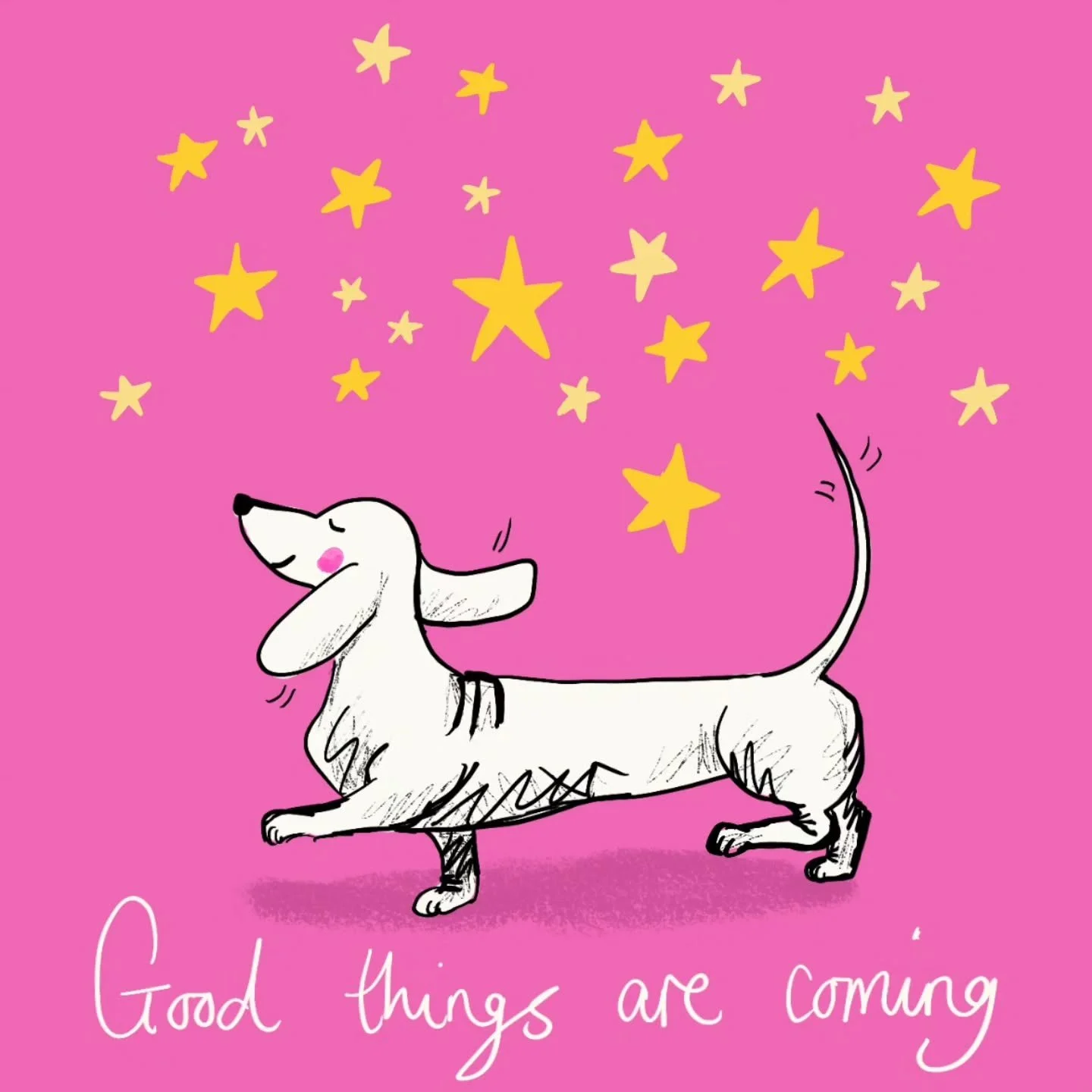 Pink &amp; Positive 💕🎀💪🏻 #goodthingsarecoming #breastcancerjourney #dachshundlover #dogmum #daxieworld