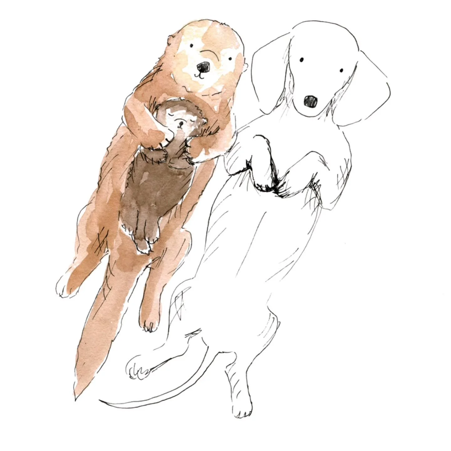 Always support each otter 💗
.
#dachshundoftheday #supporteachother #instacute #dachshundappreciation #dogmom