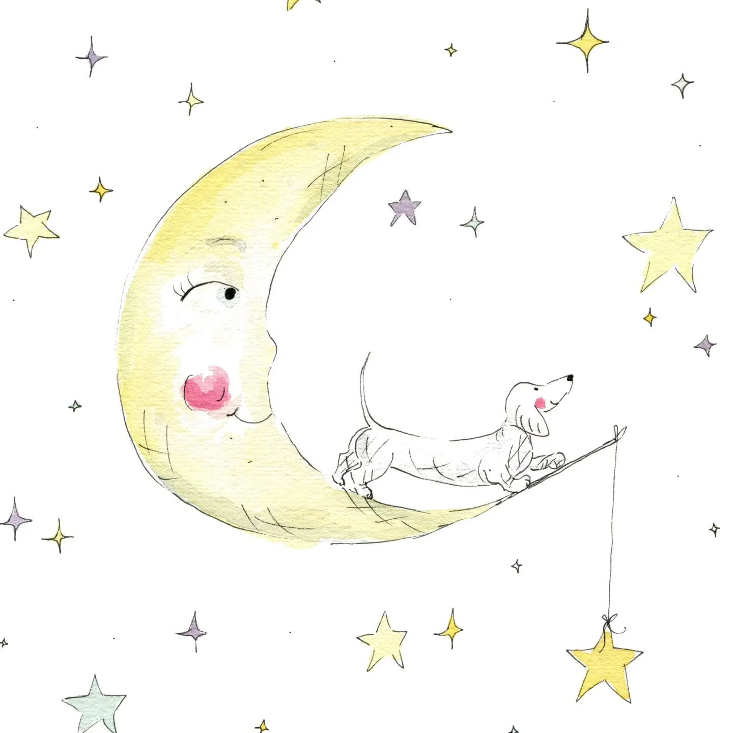 Catching stars ✨️ &amp; finding magic in the every day ✨️🤍 #findthemagic #dachshundoftheday #doxieworld #sausagedog #instacute