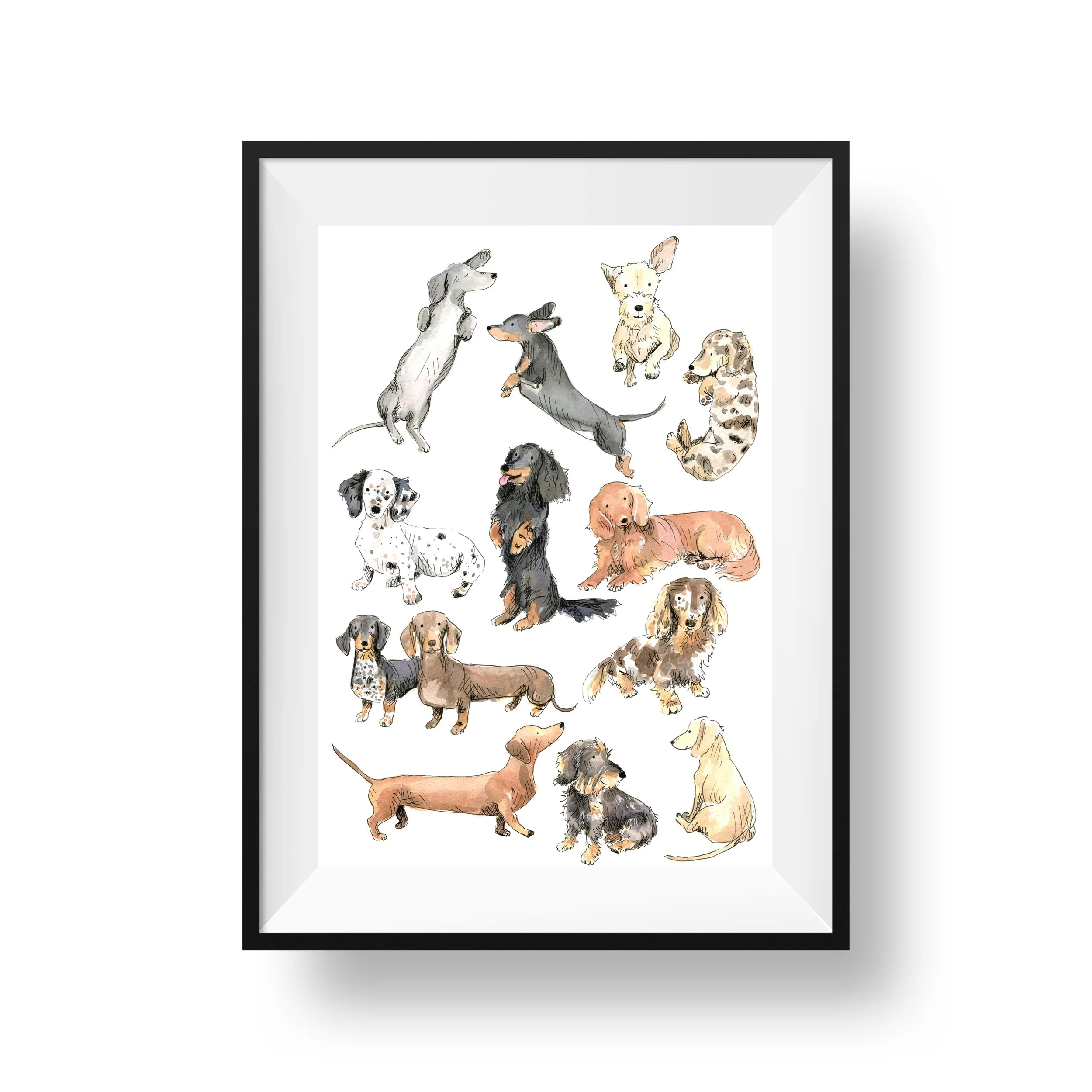 Dachshunds, A4 Print