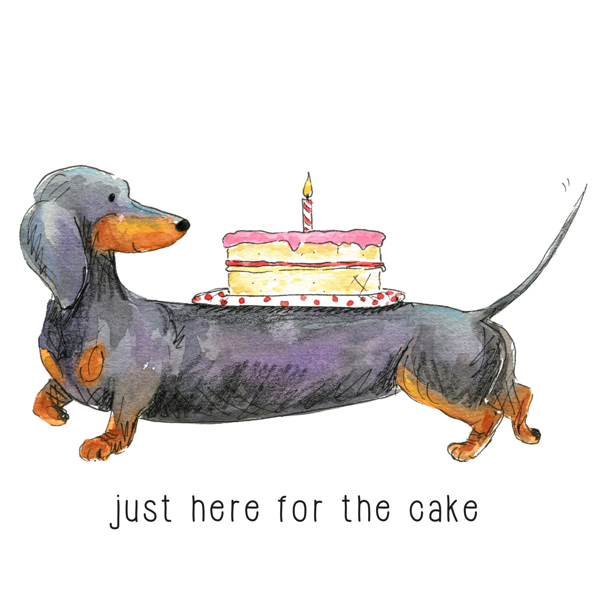 justhereforthecake.jpg