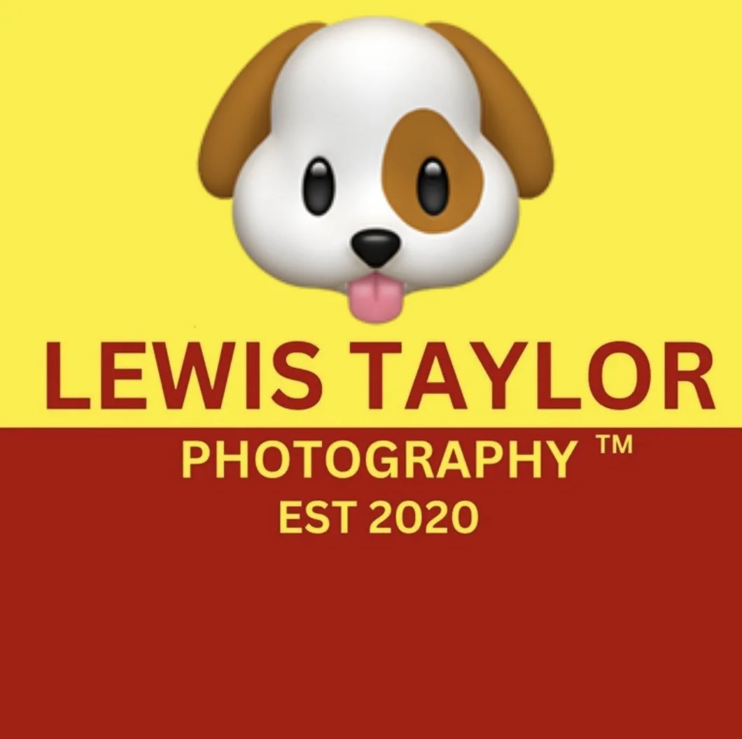 September 2024 (Dog Food "Dinner For Who?" EP Crossover Logo)