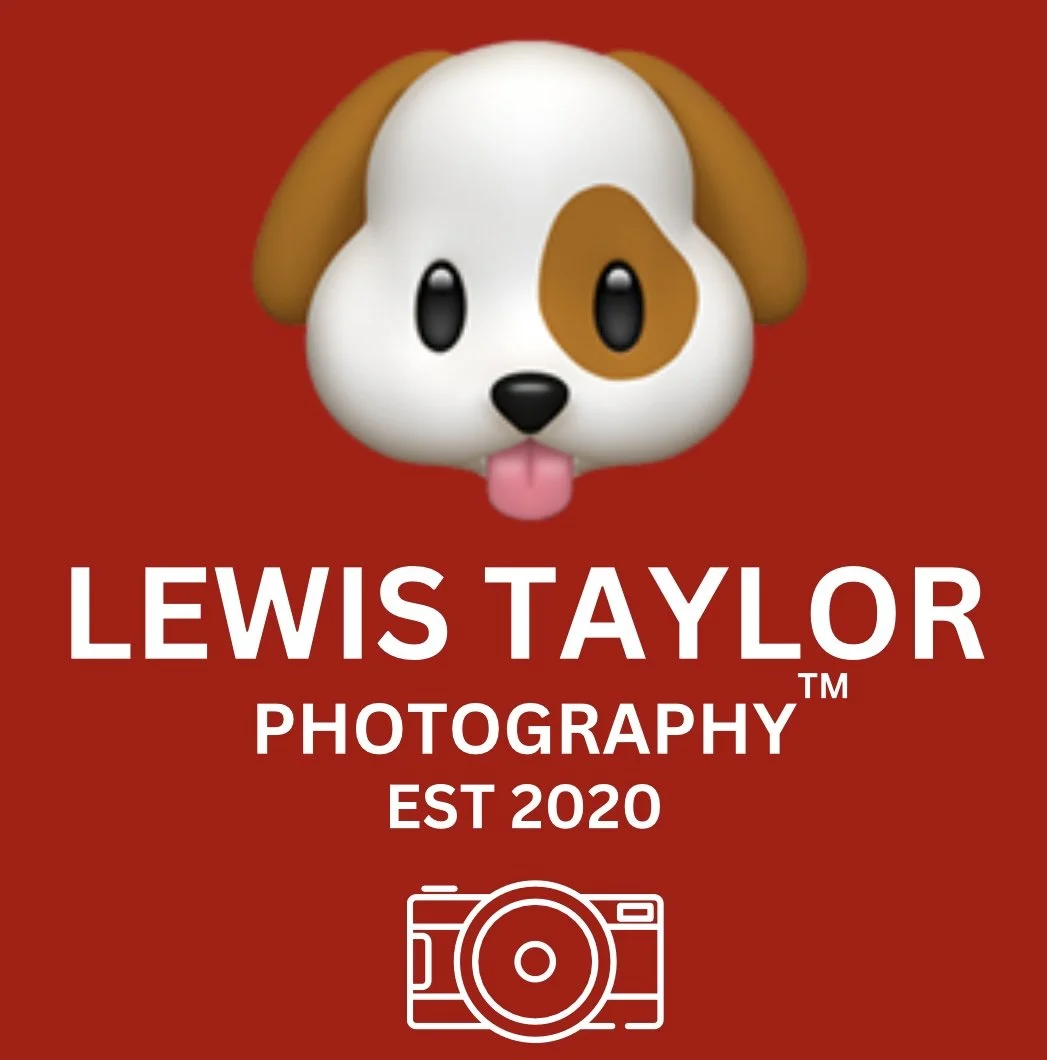 August 2024-March 2025 (Social Media Logo)