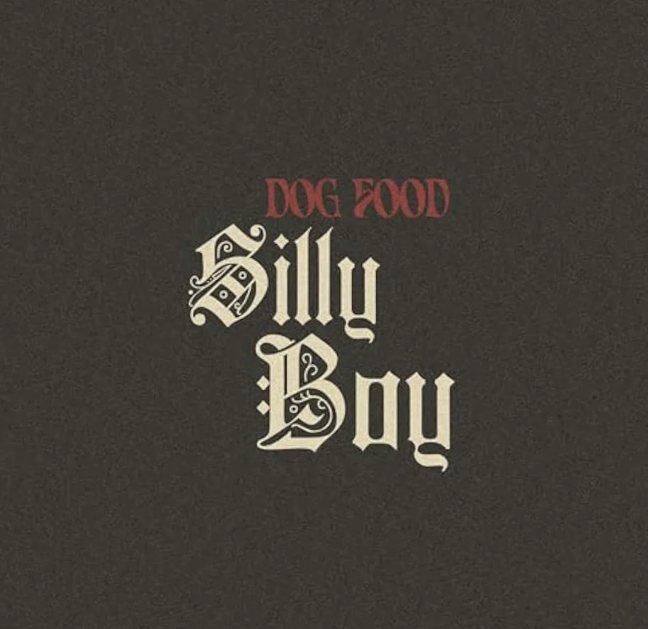 Single - Silly Boy (Released on 30.08.2024)