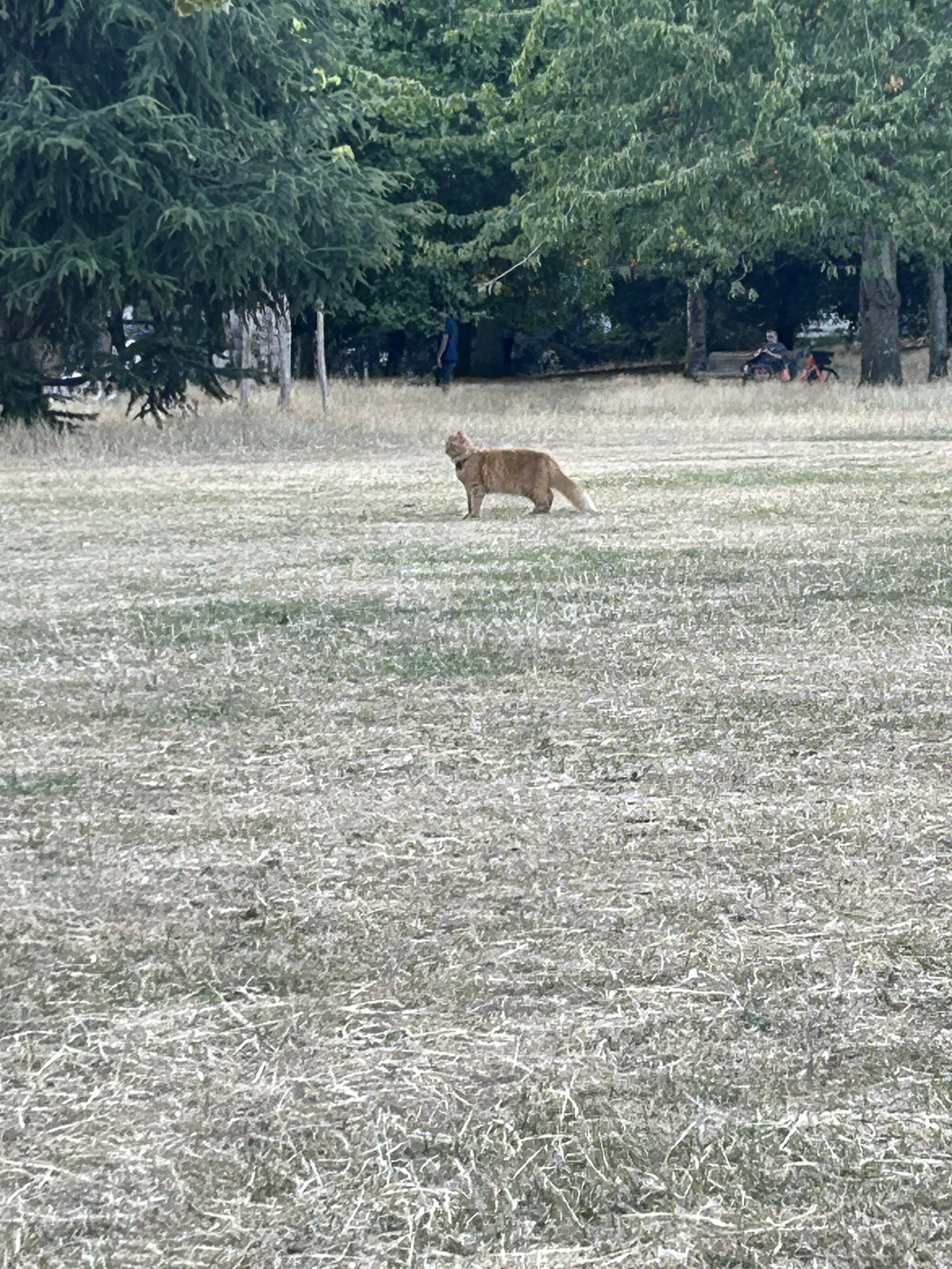 IMG_0846.jpeg