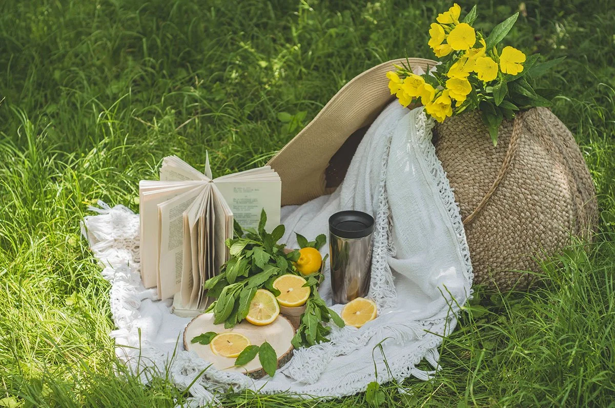 Sip Outside: Best Coffees and Brewing Gear for Travel, Picnics & Outdoor Escapes