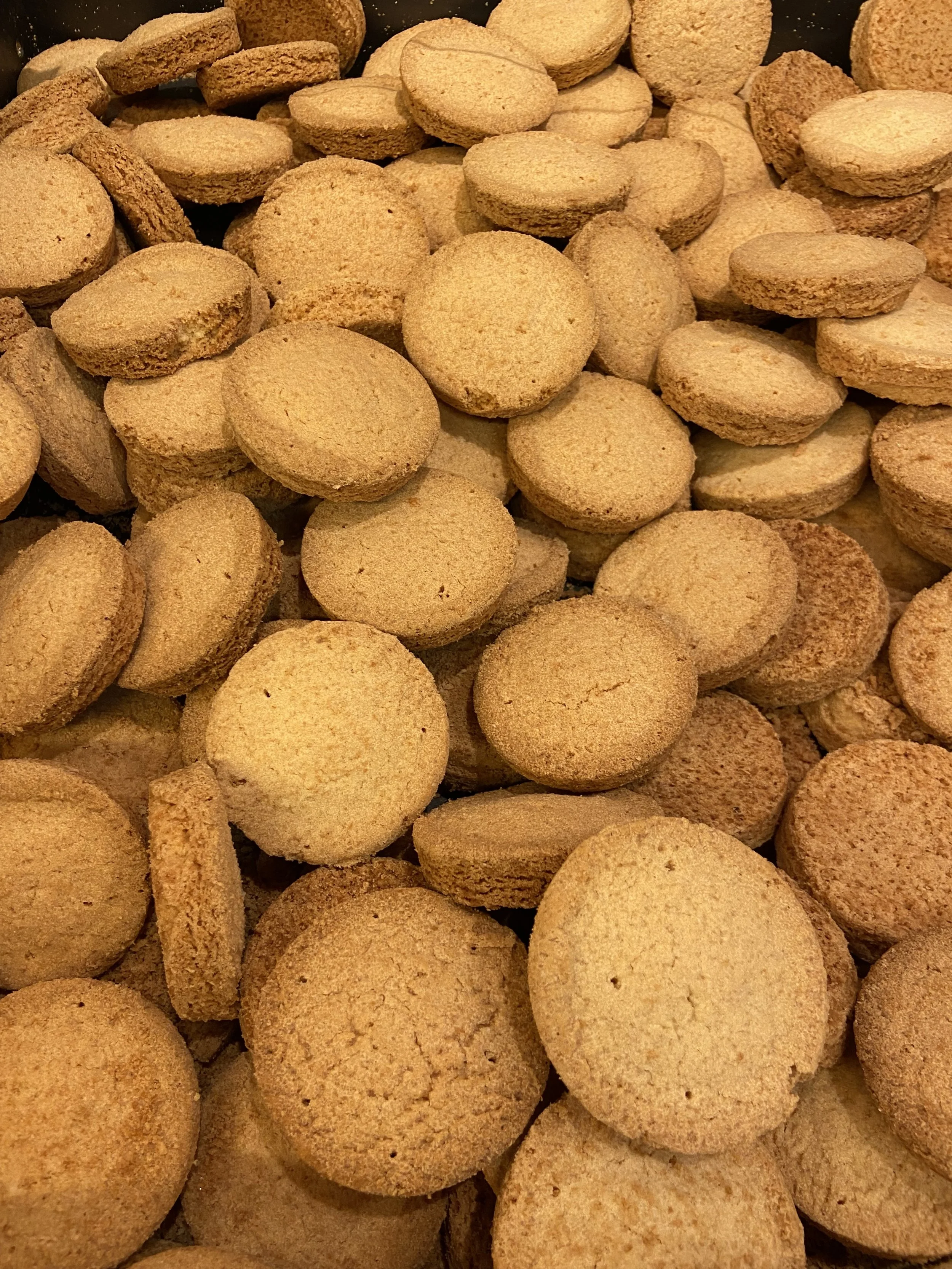 Gros plan sur un grand nombre de biscuits secs ronds et plats, de couleur beige
