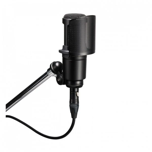 Close-up of a professional studio microphone mounted on a stand.