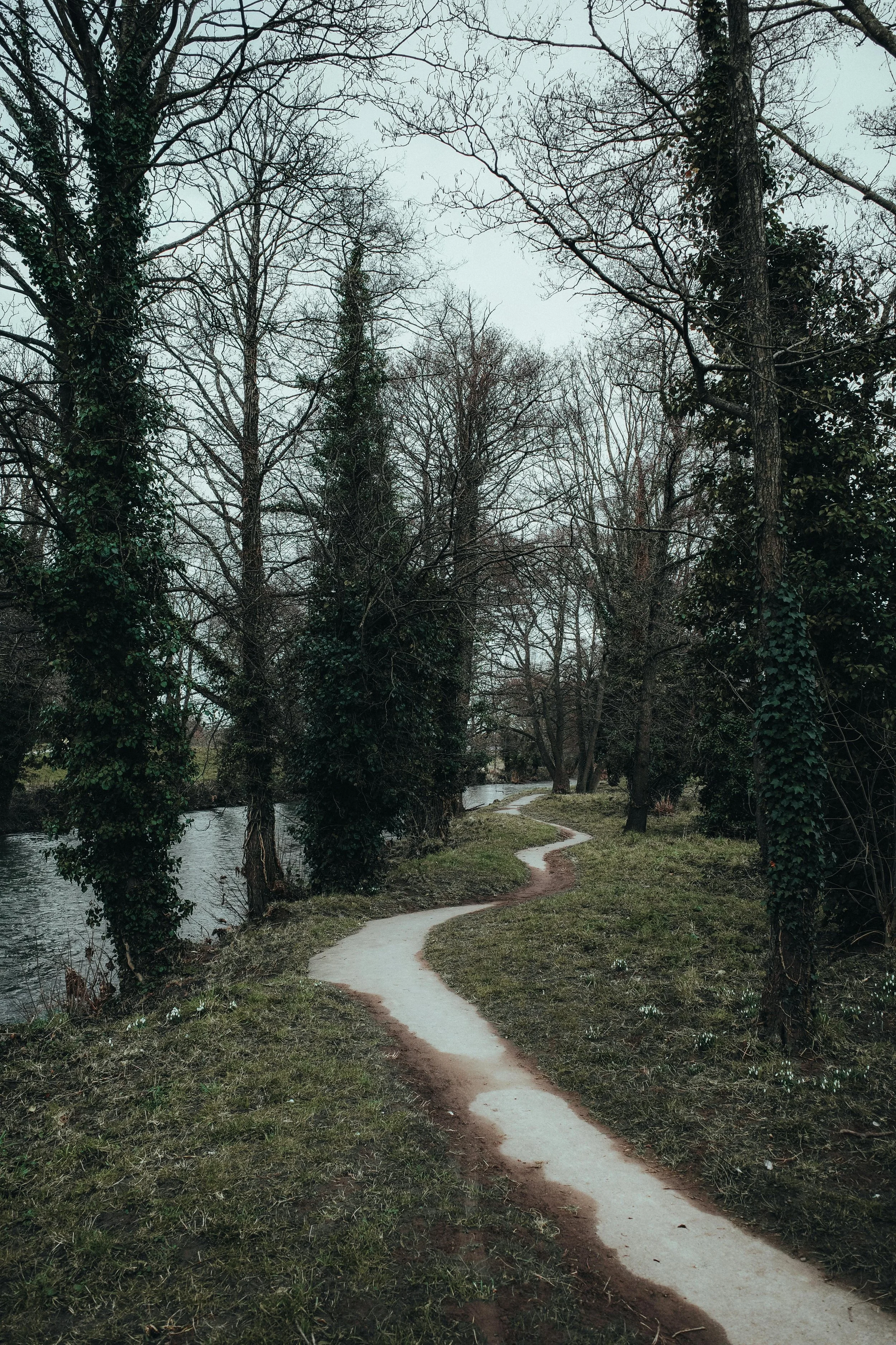 A Little Here, A Little There: Beginning the Therapeutic Process&nbsp;