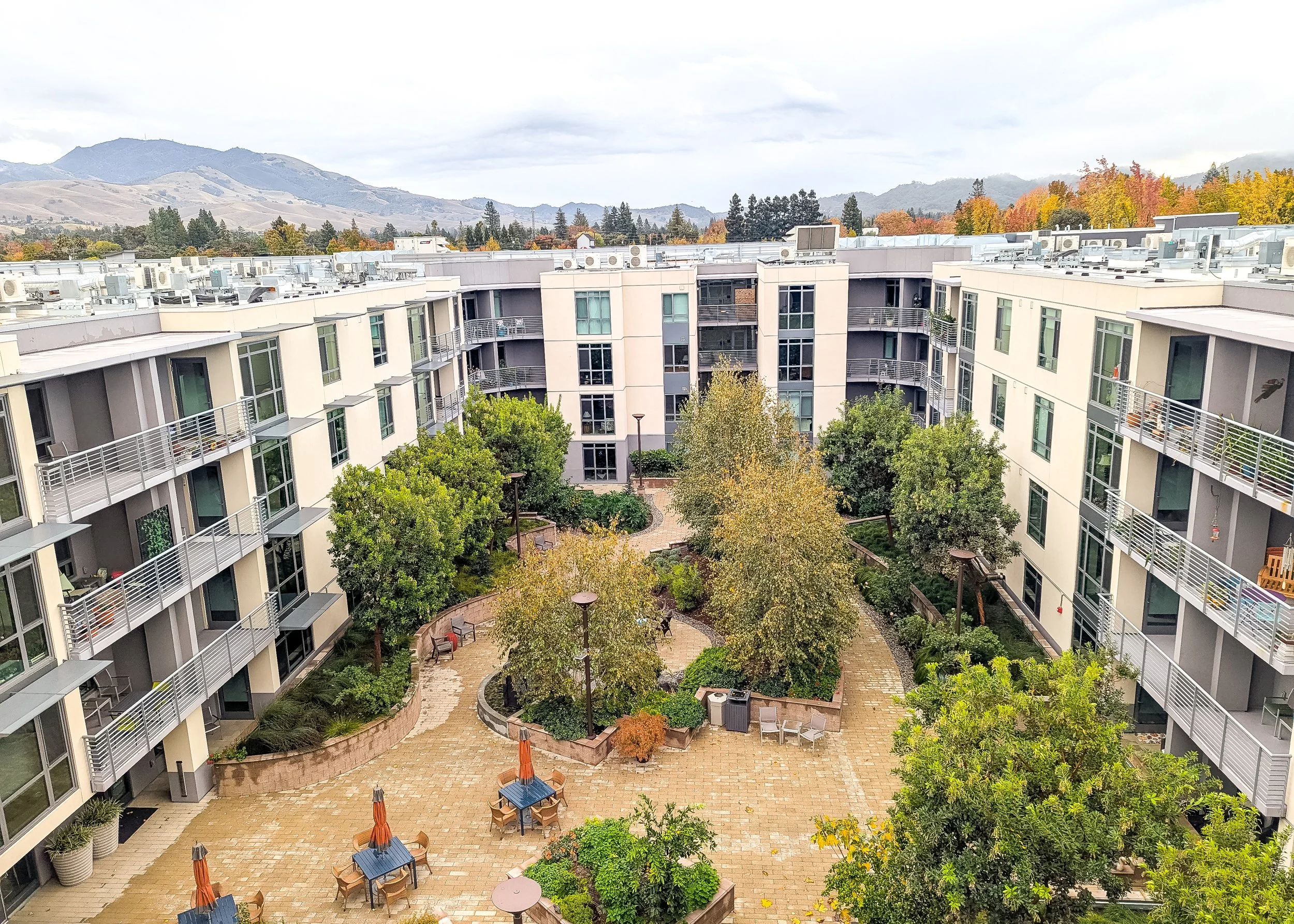 A rectangular courtyard features playful, organic design seamlessly integrated with the modern, geometric building layout.