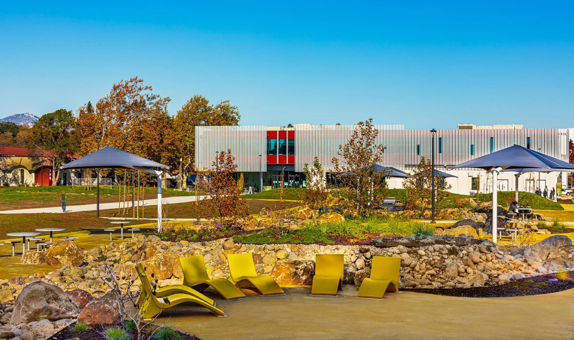 A network of decomposed granite paths, low-water planting, and sculptural stone swales introduces texture and movement throughout the campus core.