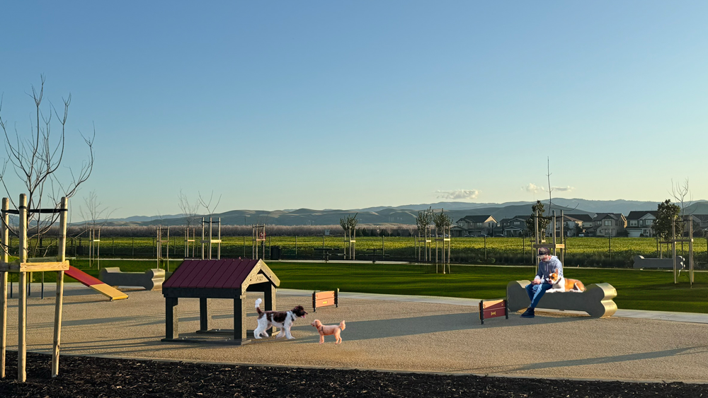 The agility area features dog play elements and seating.